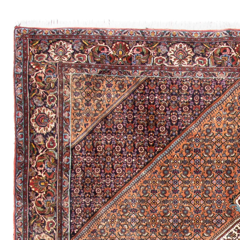 Tapis persan - Bidjar - 305 x 210 cm - marron