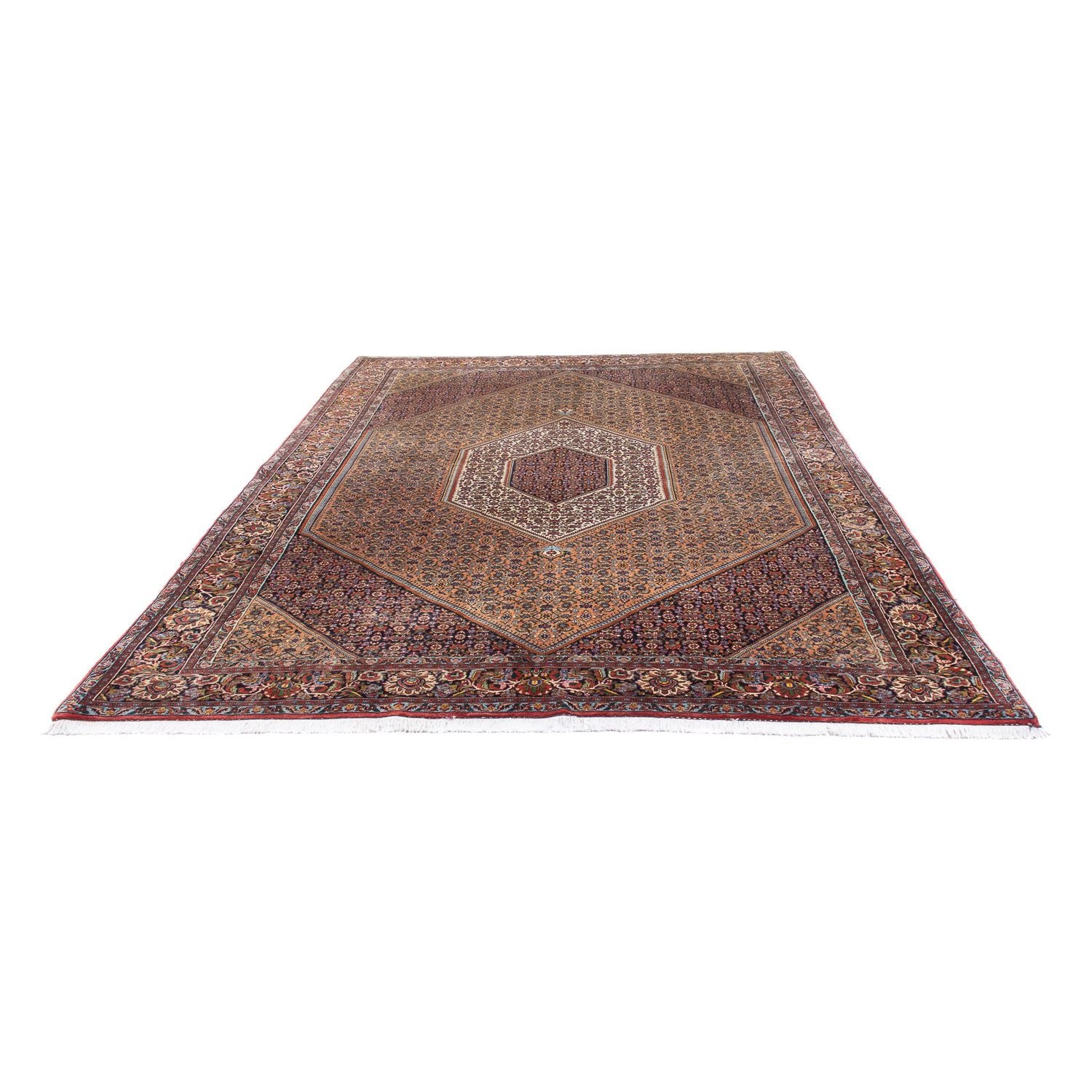 Tapis persan - Bidjar - 305 x 210 cm - marron