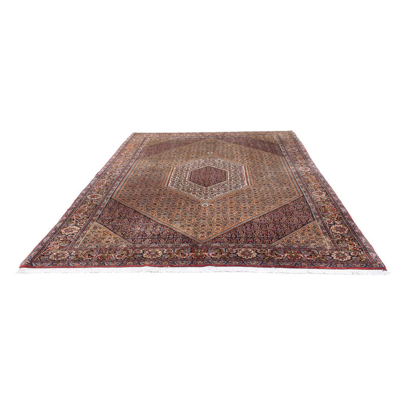 Tapis persan - Bidjar - 305 x 210 cm - marron