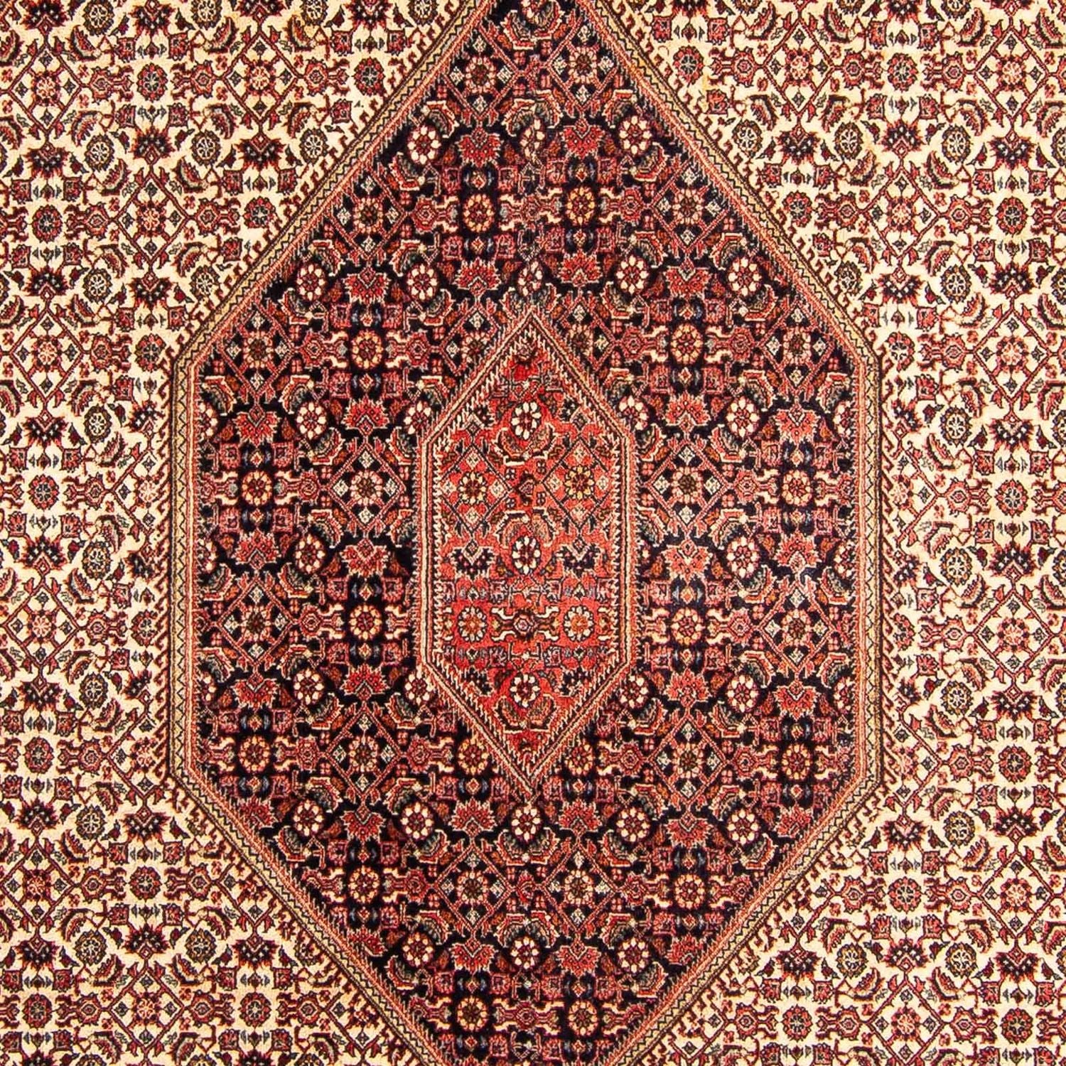 Perserteppich - Bidjar 312 x 172 cm