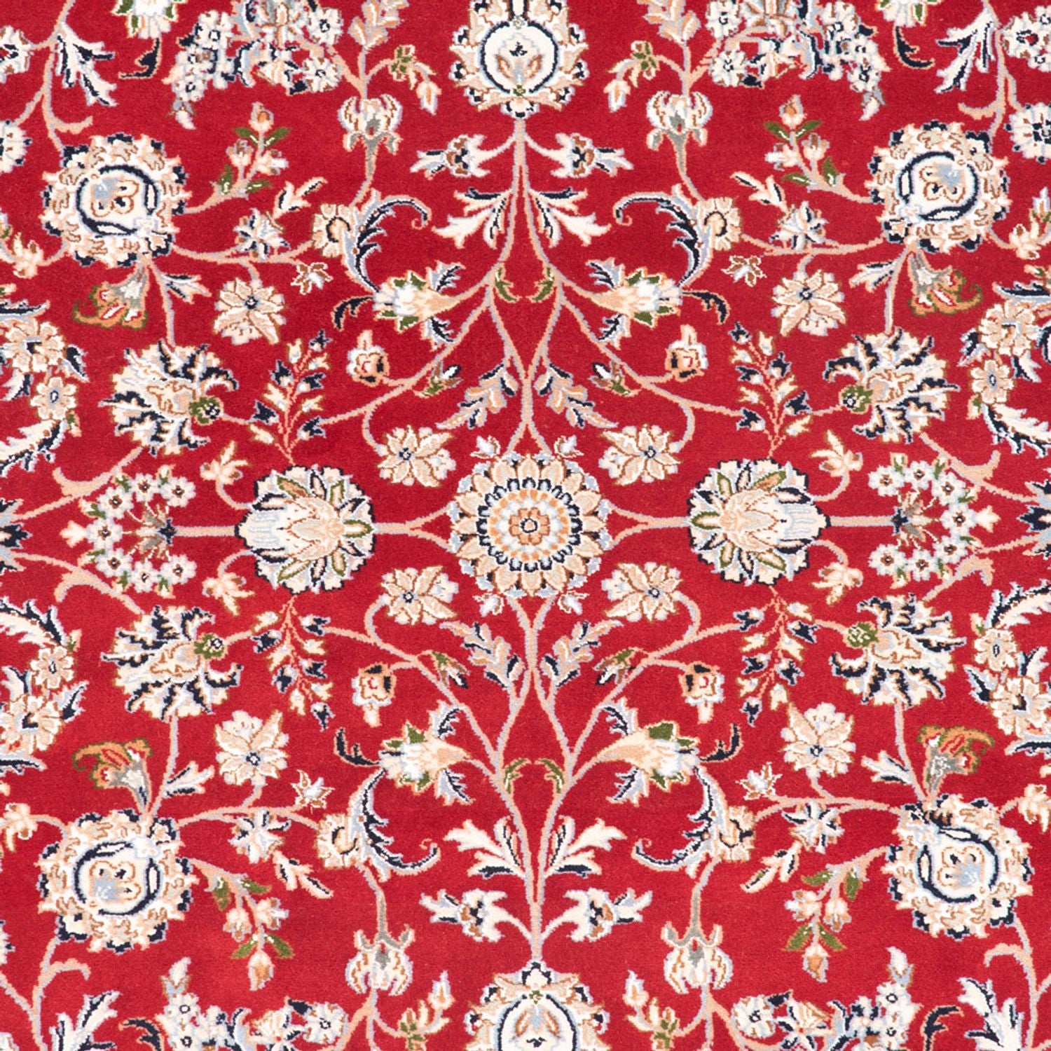 RDAmbra150x100