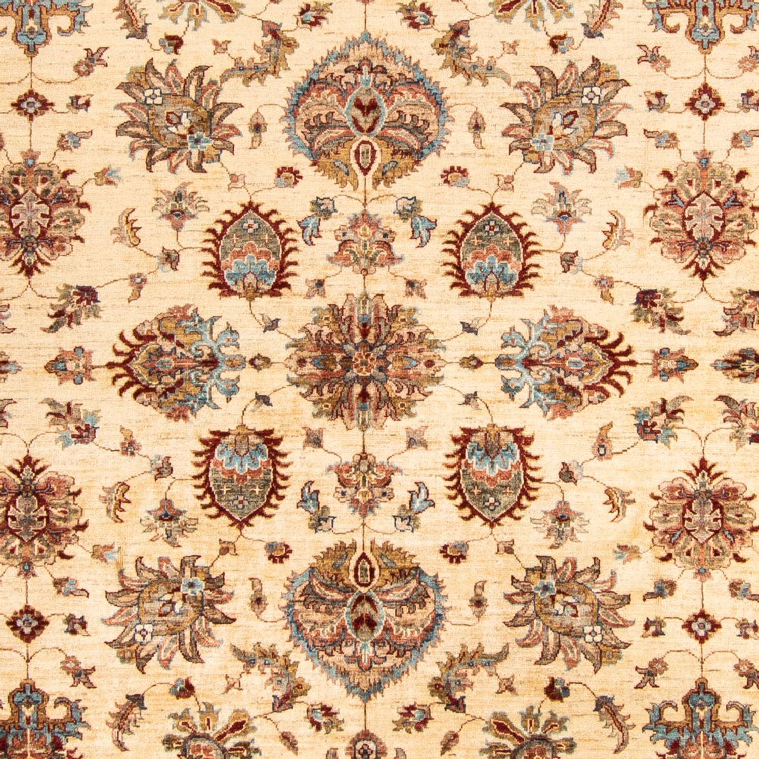 Tapis Ziegler - 306 x 254 cm - beige