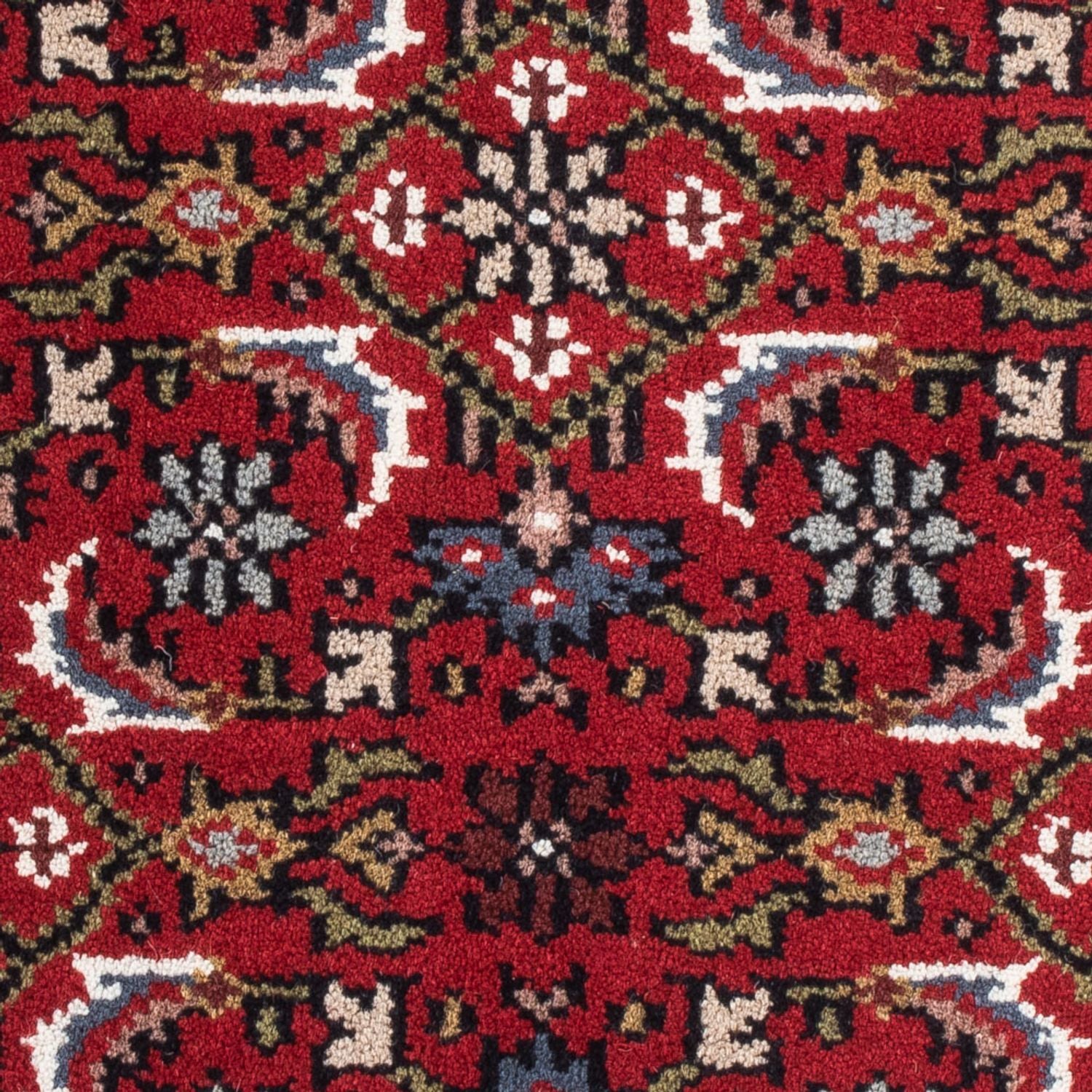 Tapis oriental - Bidjar - Indus - 90 x 60 cm - rouge