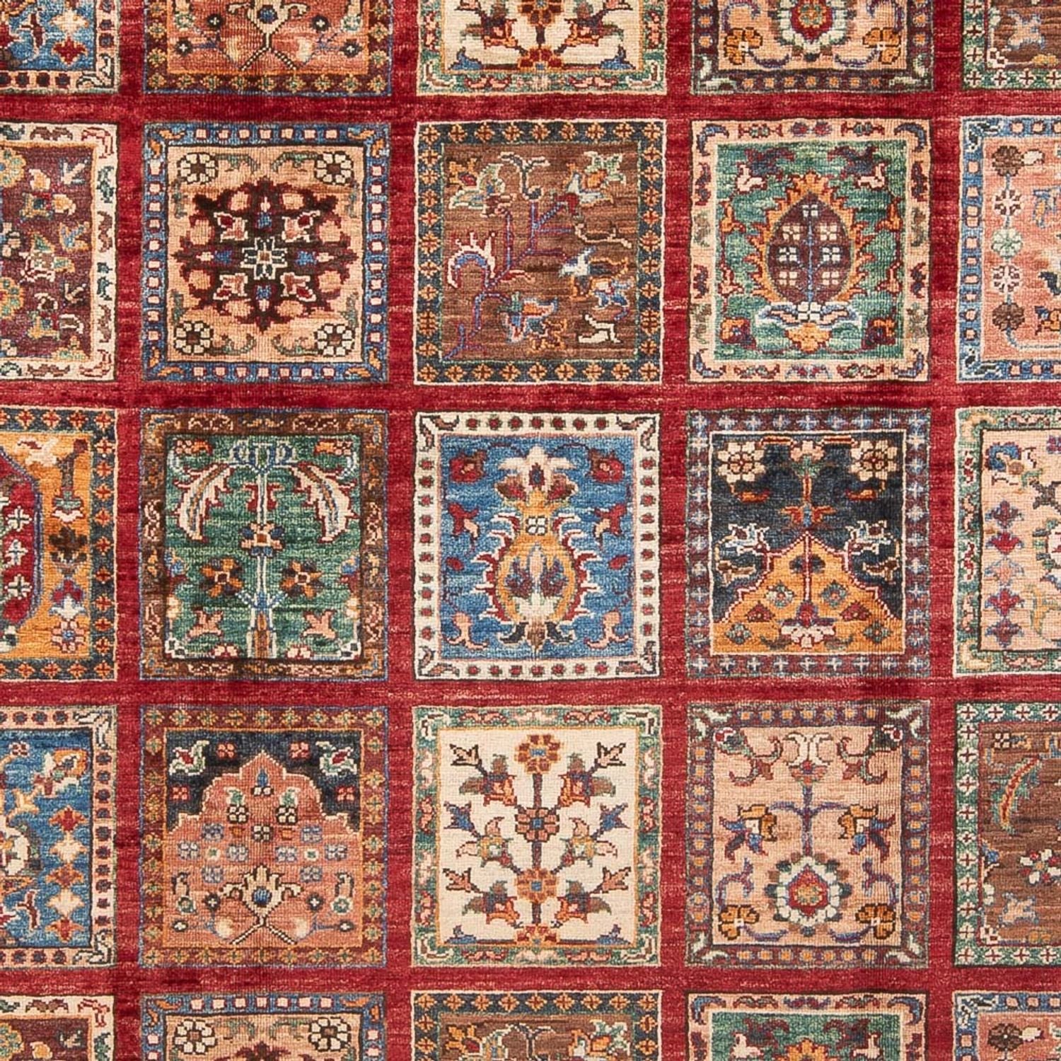Tapis Ziegler - Bakhtiari - 255 x 175 cm - multicolore