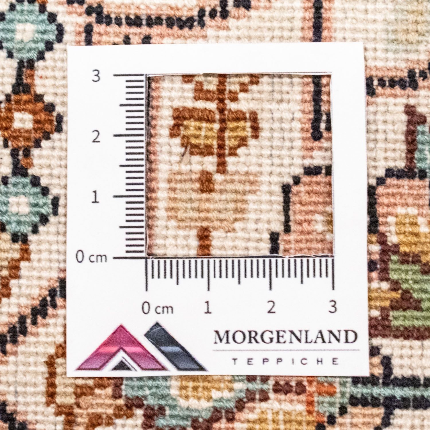 Tapis en soie - Soie du Cachemire - 229 x 152 cm - beige