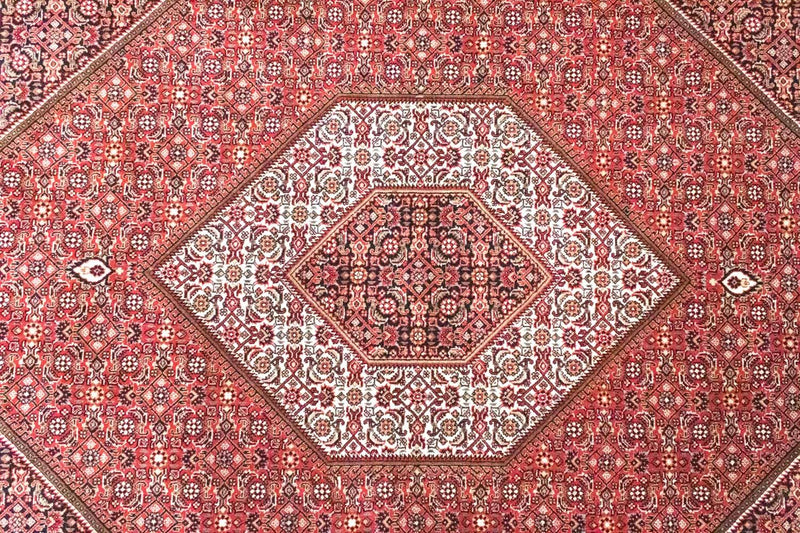 Tapis persan - Bidjar - 286 x 208 cm - rouge