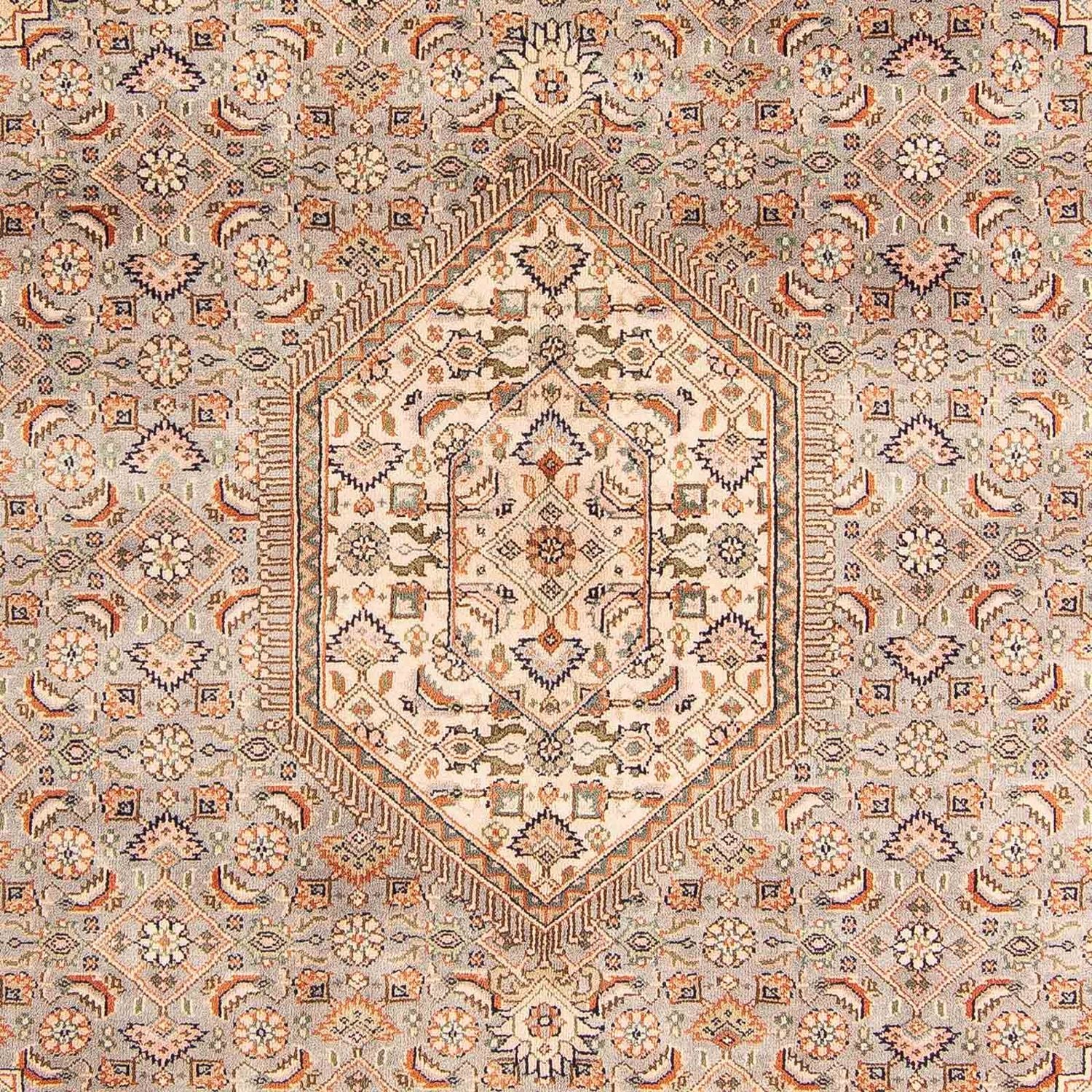Tapis oriental - Bidjar - Indus - 242 x 169 cm - marron clair
