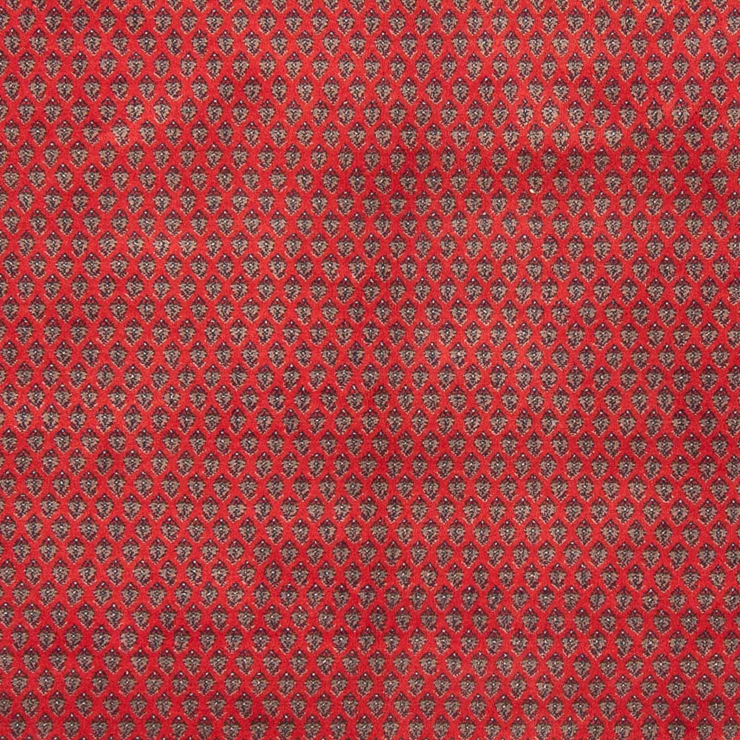 Tapis oriental - Mir - Indus - 239 x 173 cm - rouge