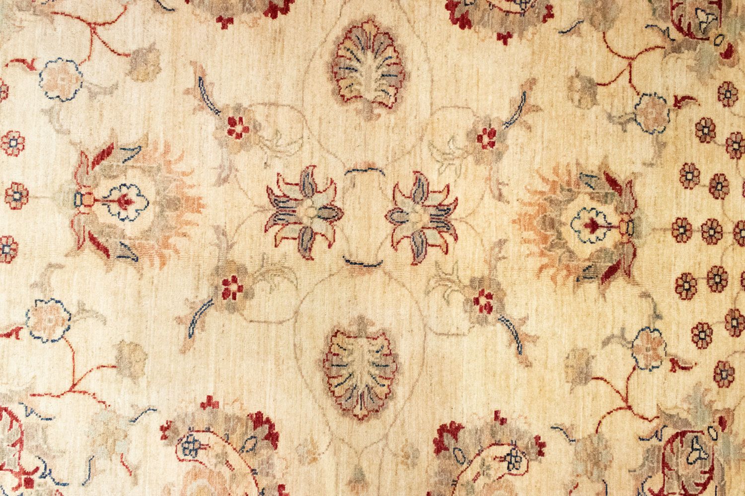 Ziegler Teppich 294 x 211 cm - beige