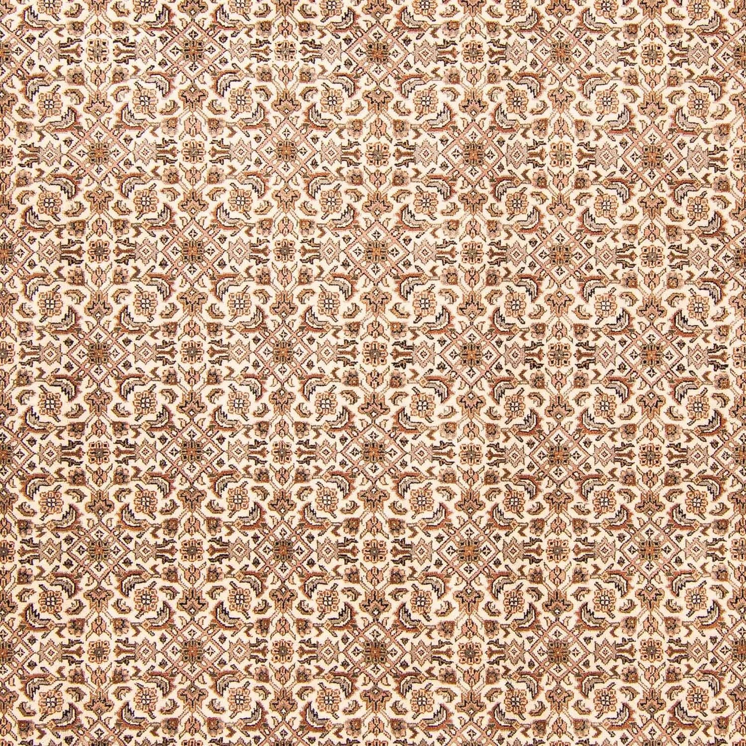 Tapis oriental - Bidjar - Indus - 303 x 248 cm - beige