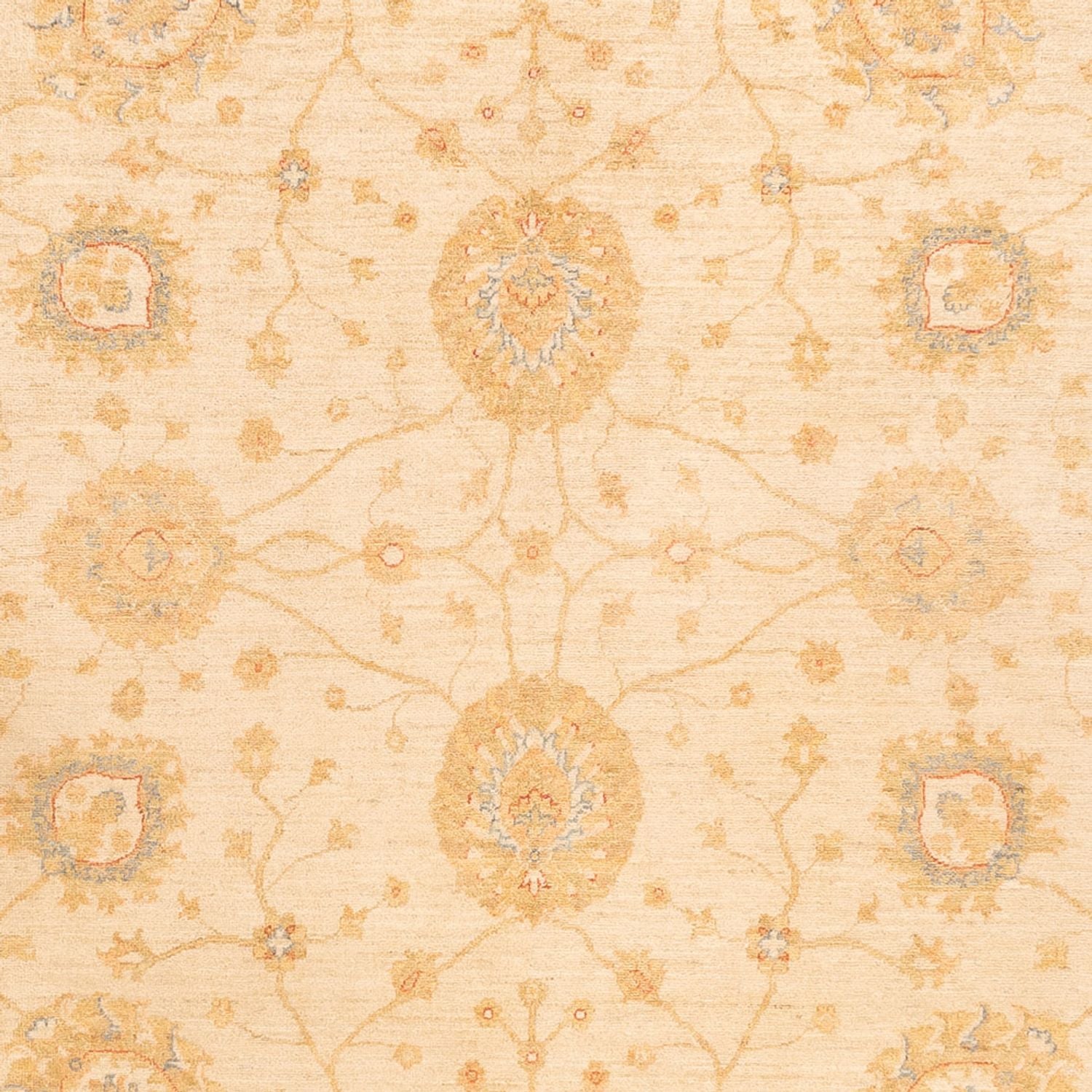 Tapis Ziegler - 325 x 250 cm - beige