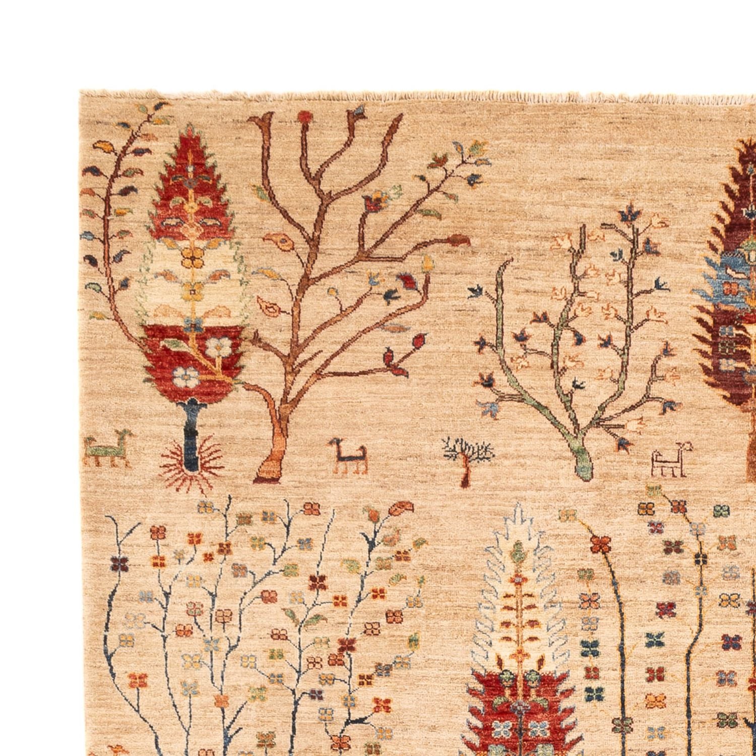 Tapis Ziegler - Ariana - 312 x 212 cm - multicolore