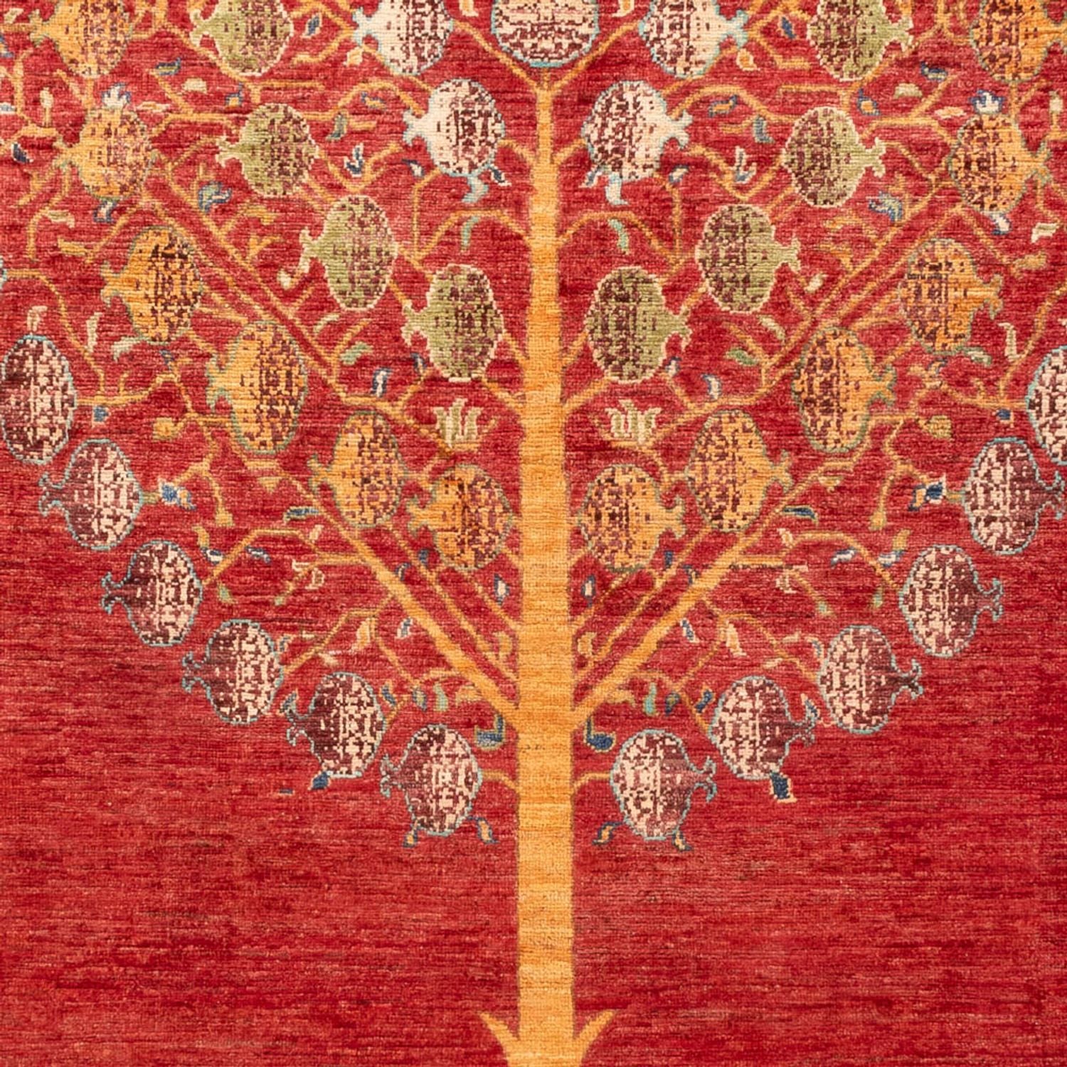Tapis Ziegler - Ariana - 254 x 172 cm - rouge