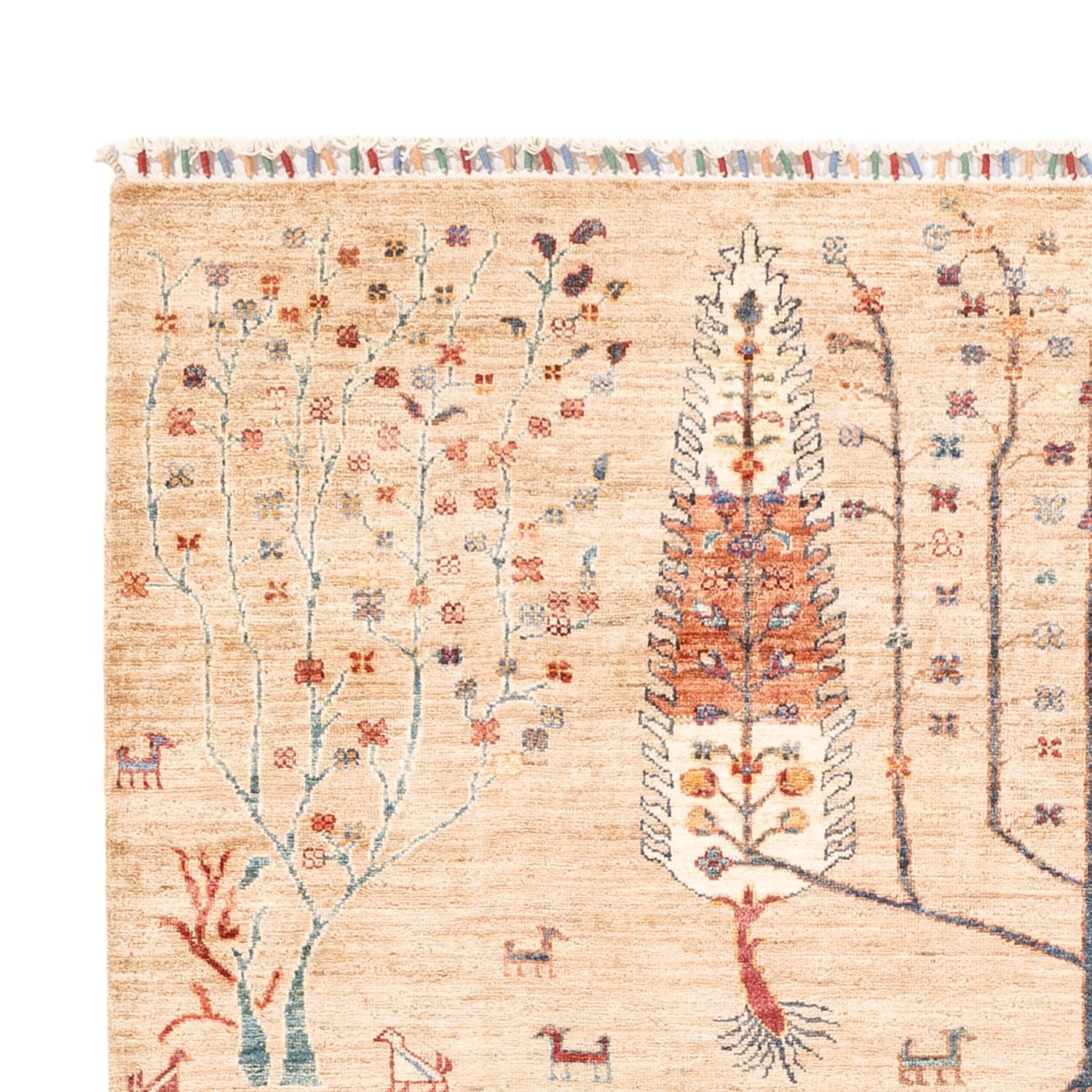 Tapis Ziegler - Ariana - 230 x 170 cm - beige clair