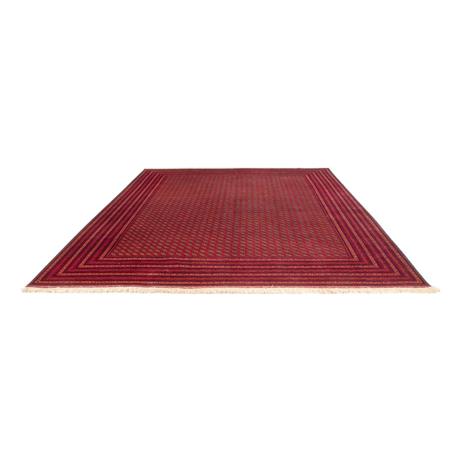Tapis afghan - Royal - 389 x 295 cm - rouille