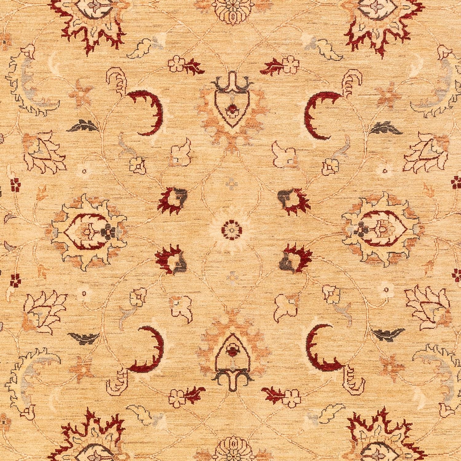 Tapis Ziegler - 383 x 271 cm - beige