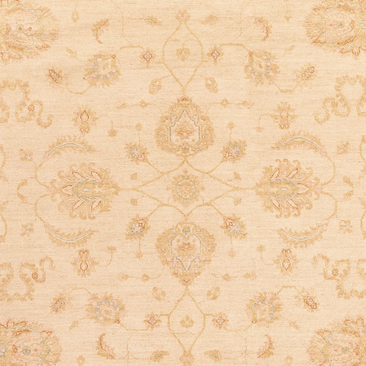 Tapis Ziegler - 364 x 277 cm - beige