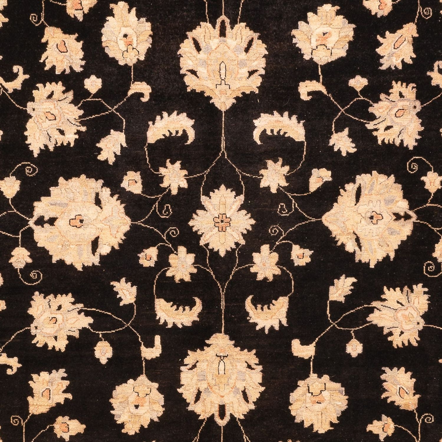 Tapis Ziegler - 360 x 276 cm - noir