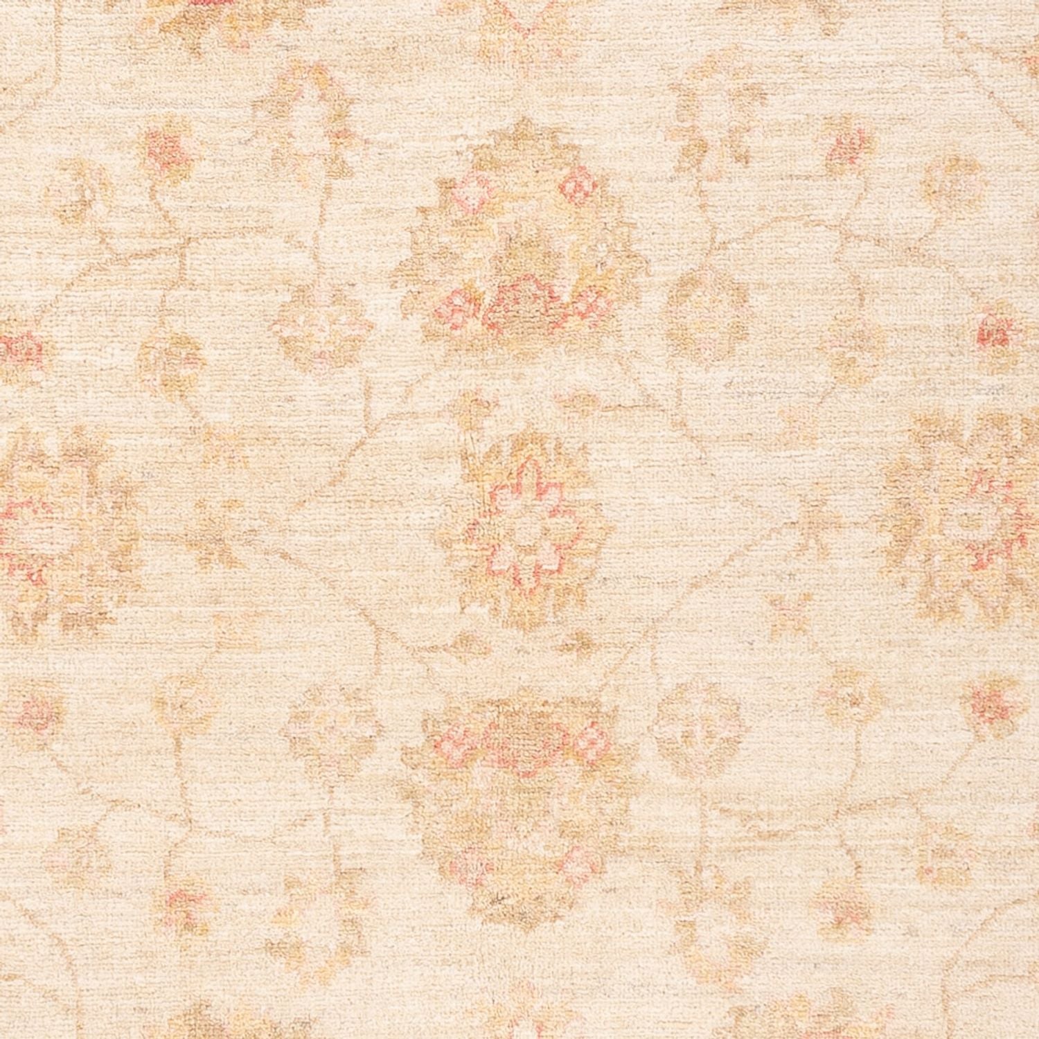 Tapis Ziegler - 182 x 125 cm - blanc naturel