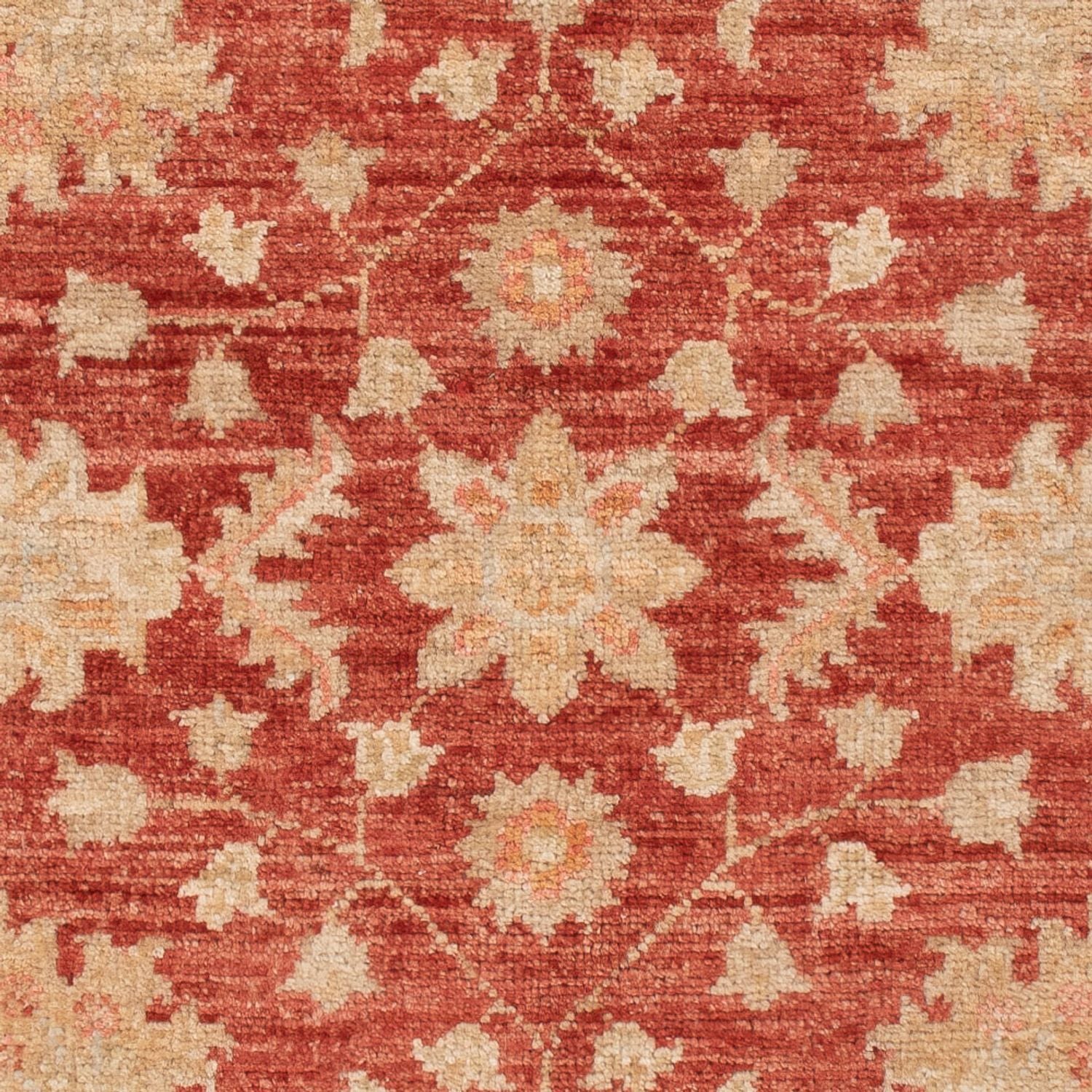 Tapis Ziegler - 125 x 80 cm - rouge foncé