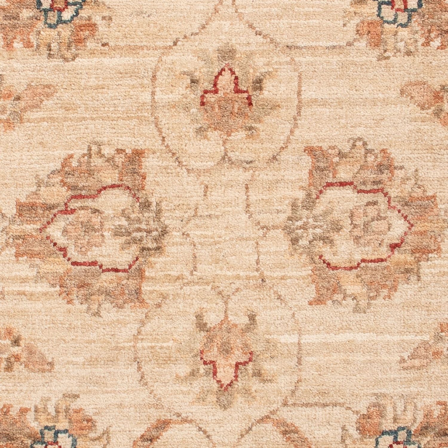Tapis Ziegler - 128 x 80 cm - beige