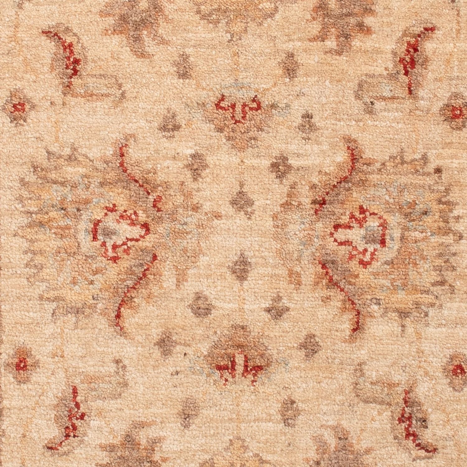 Tapis Ziegler - 149 x 67 cm - beige