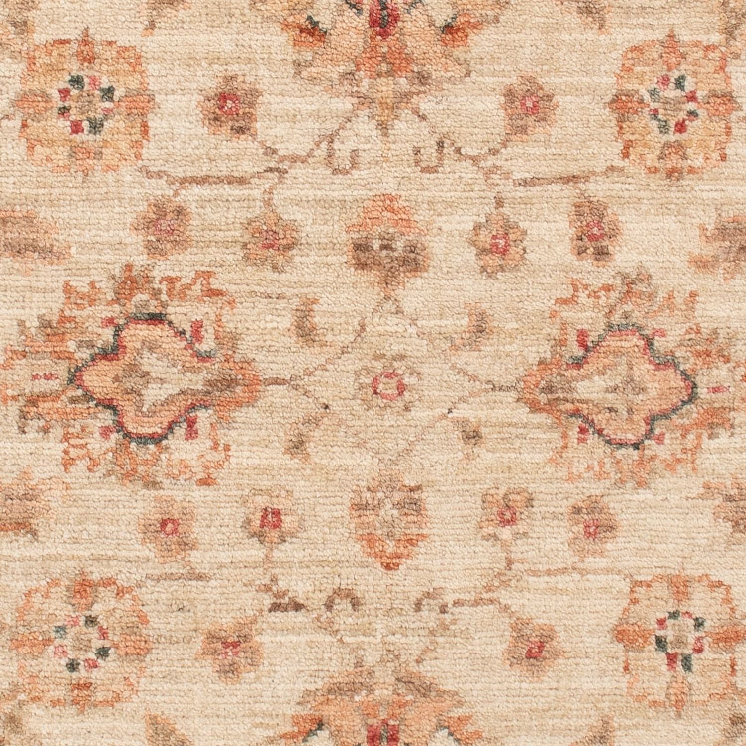 Tapis Ziegler - 120 x 83 cm - beige