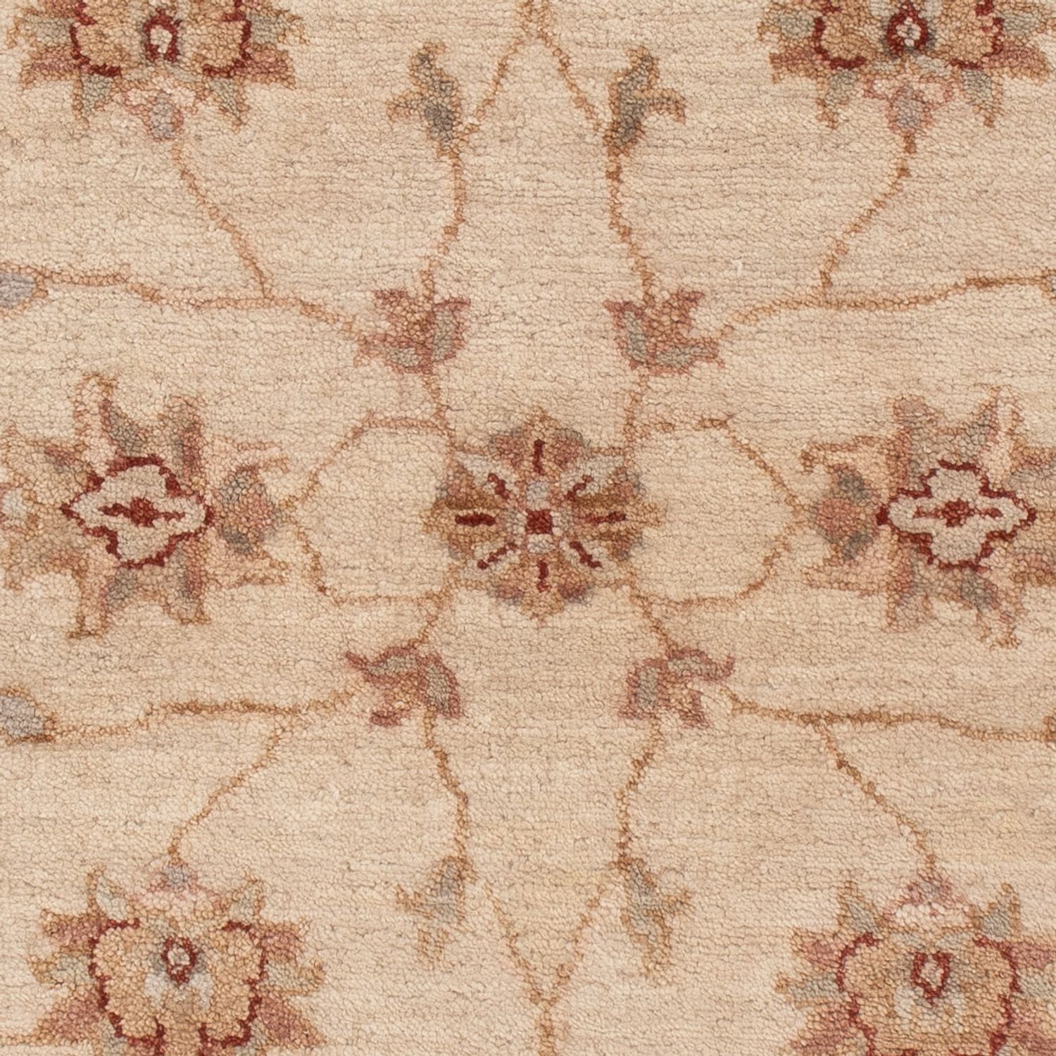 Tapis Ziegler - 120 x 80 cm - beige