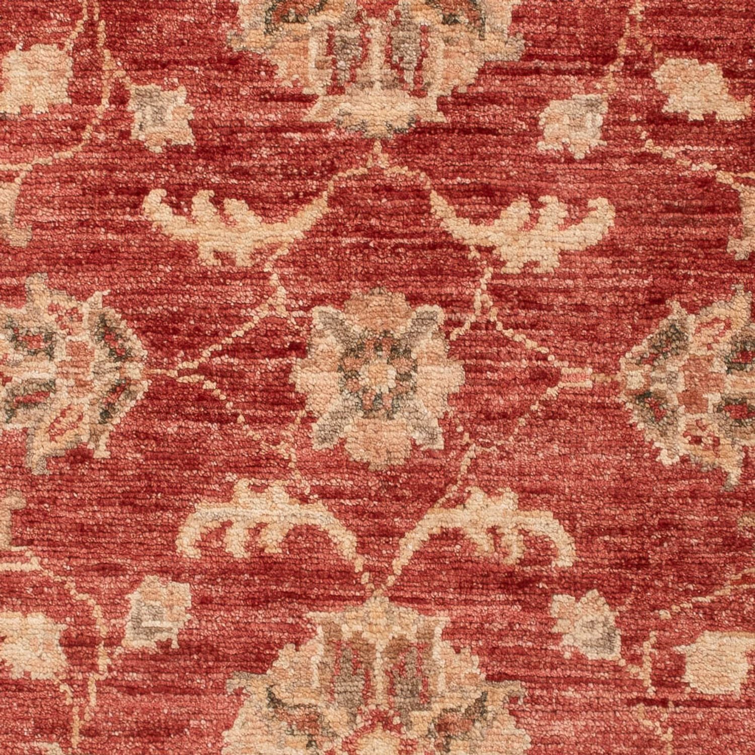 Tapis Ziegler - 122 x 84 cm - rouge