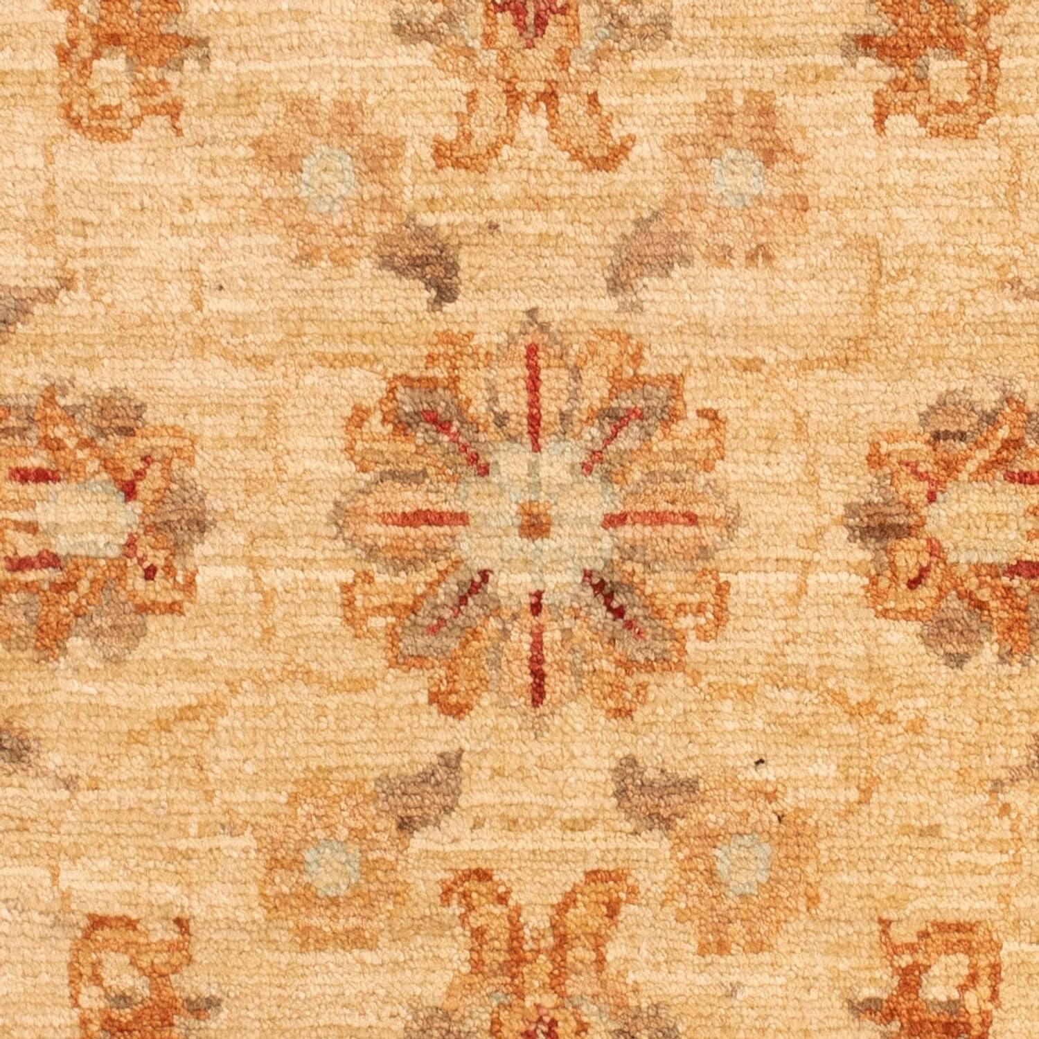 Tapis Ziegler - 92 x 58 cm - beige
