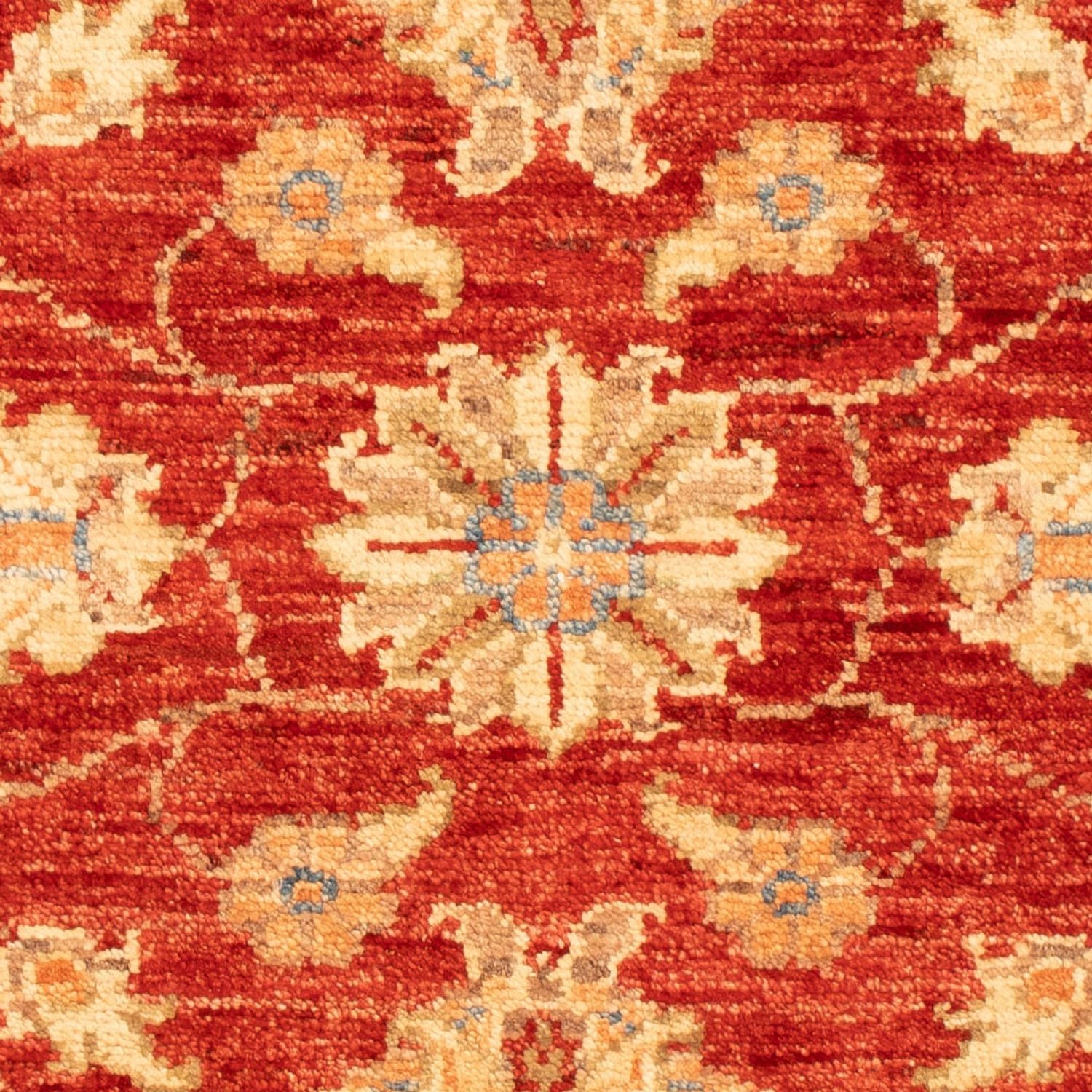 Tapis Ziegler - 92 x 63 cm - rouge