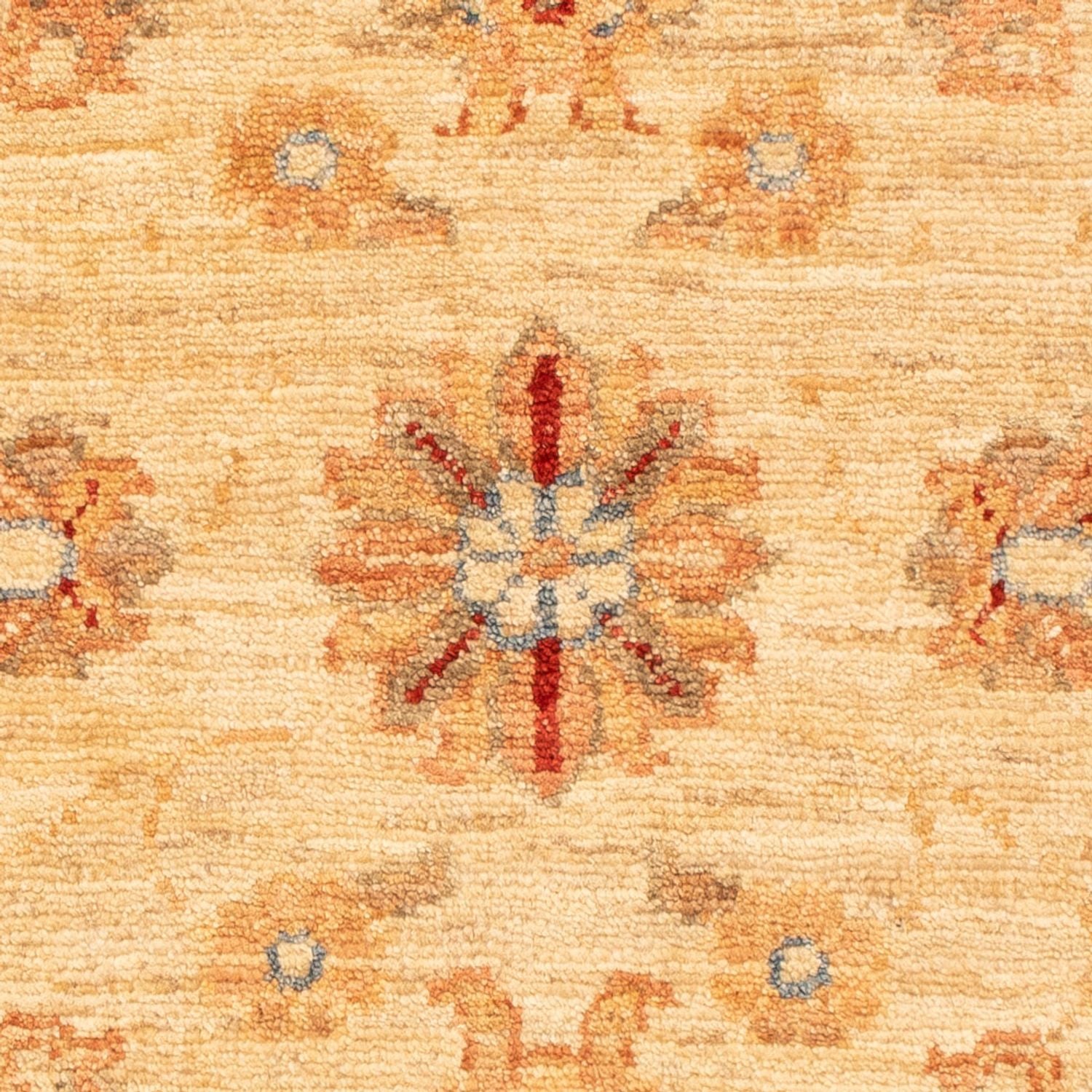 Tapis Ziegler - 86 x 61 cm - beige