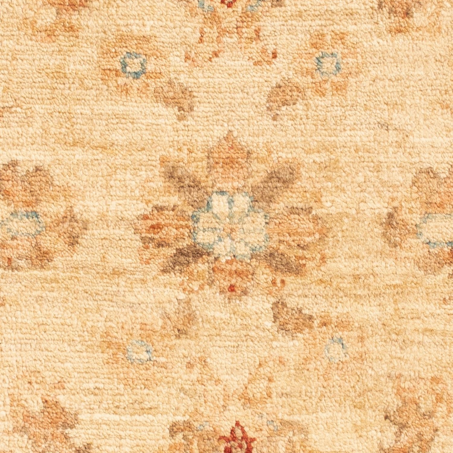 Tapis Ziegler - 92 x 60 cm - beige