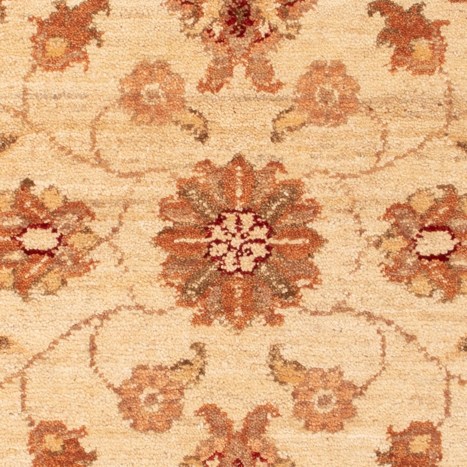 Tapis Ziegler - 93 x 64 cm - beige