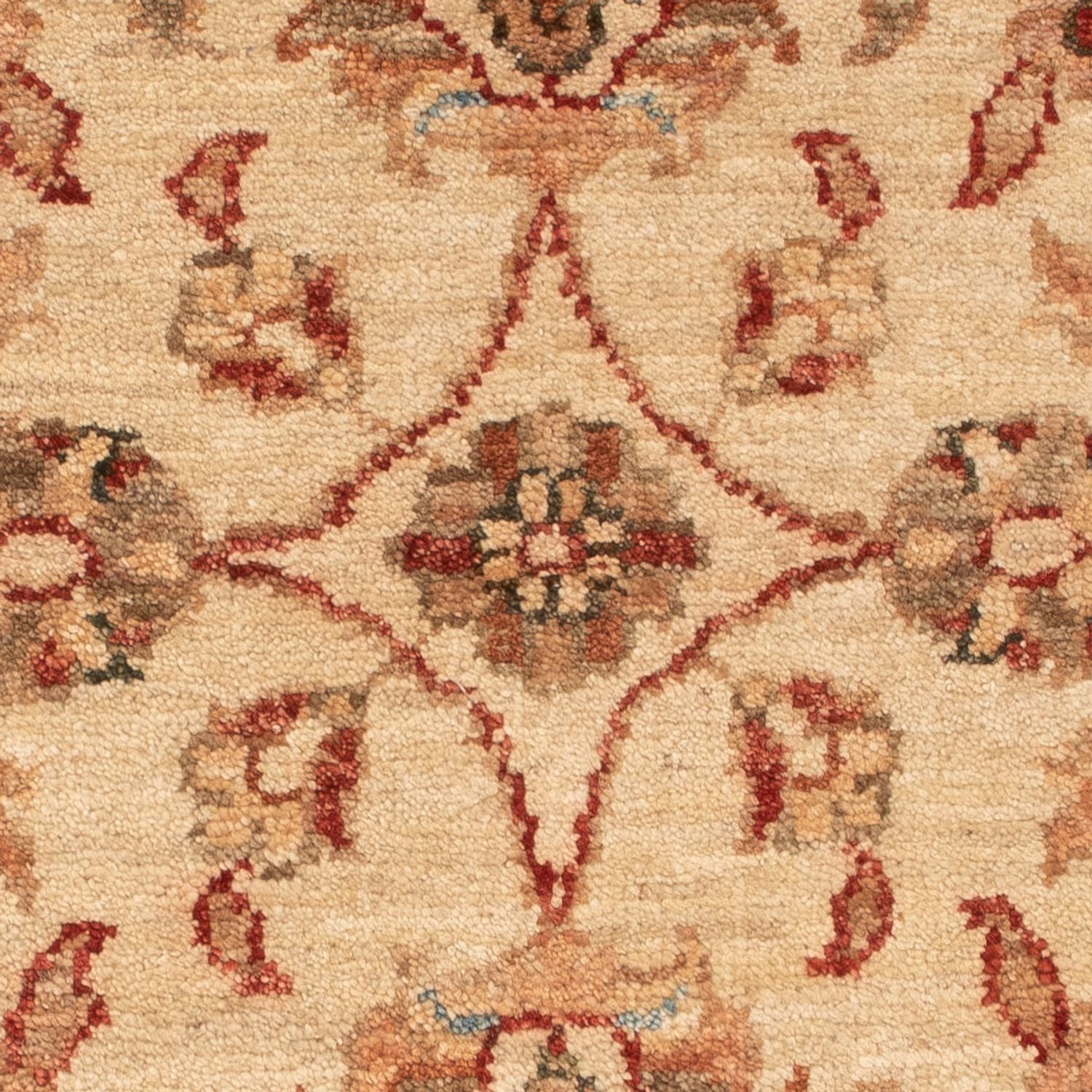 Tapis Ziegler - 72 x 54 cm - beige