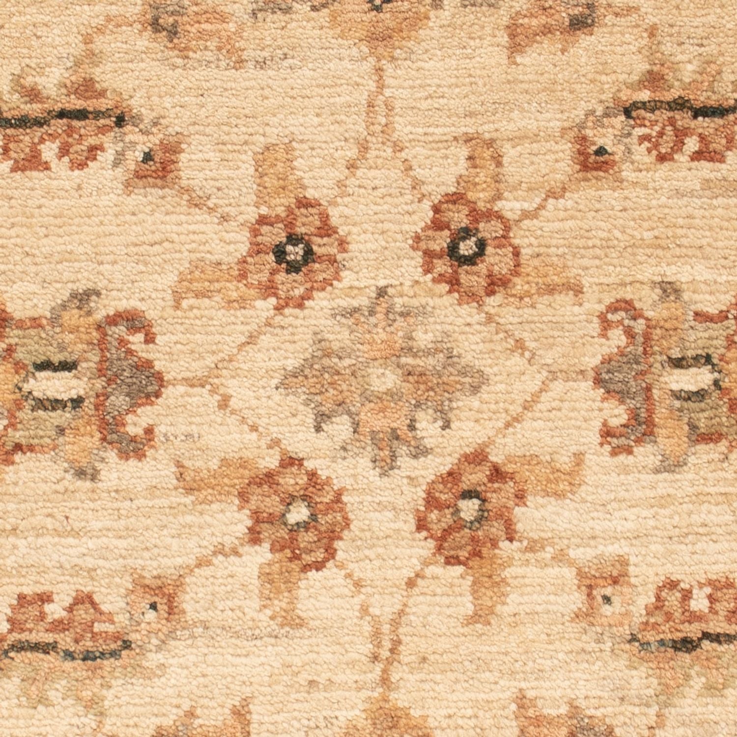 Tapis Ziegler - 71 x 51 cm - beige