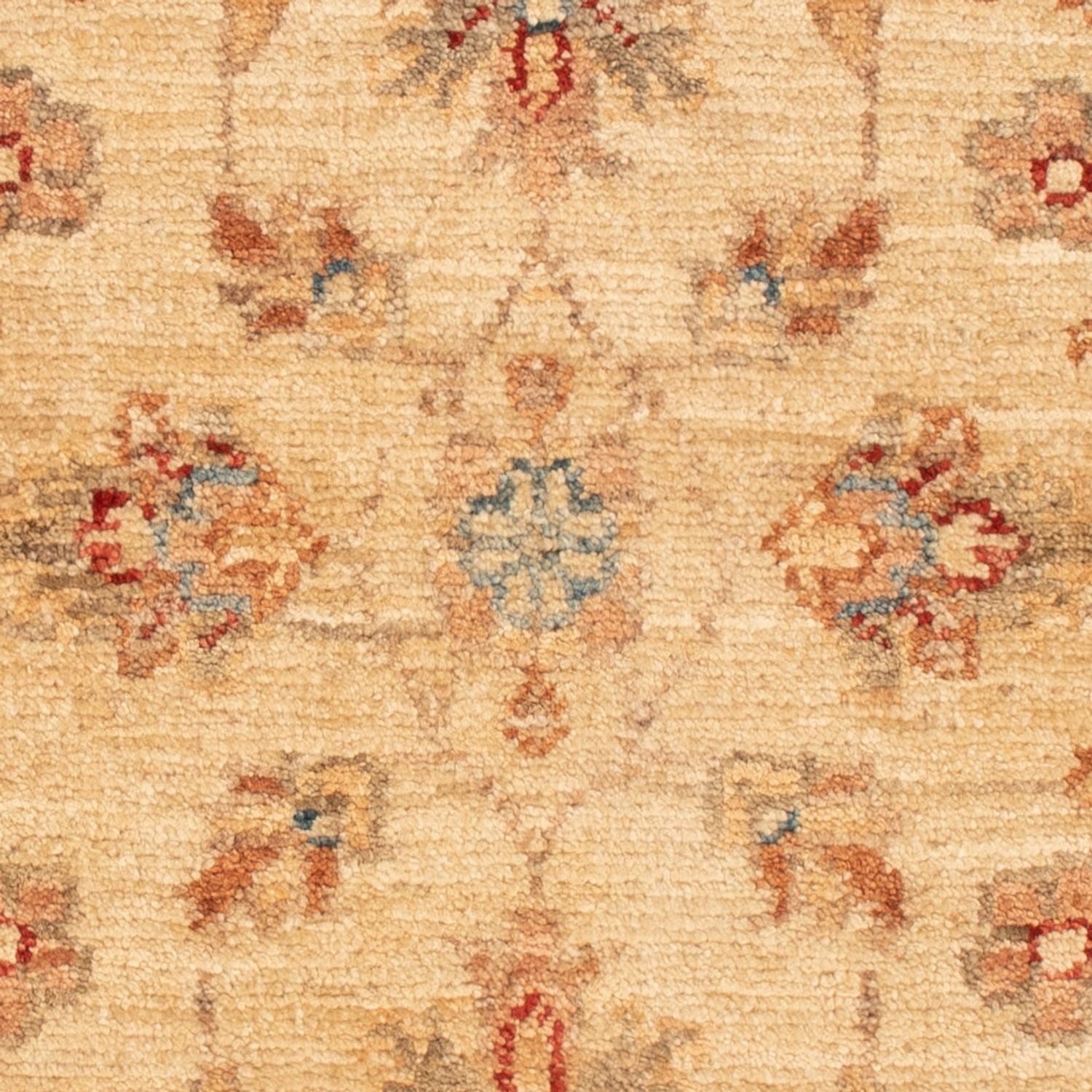 Tapis Ziegler - 65 x 48 cm - beige