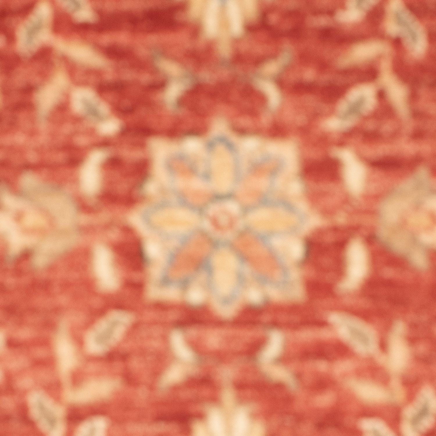 Tapis Ziegler - 69 x 53 cm - rouge