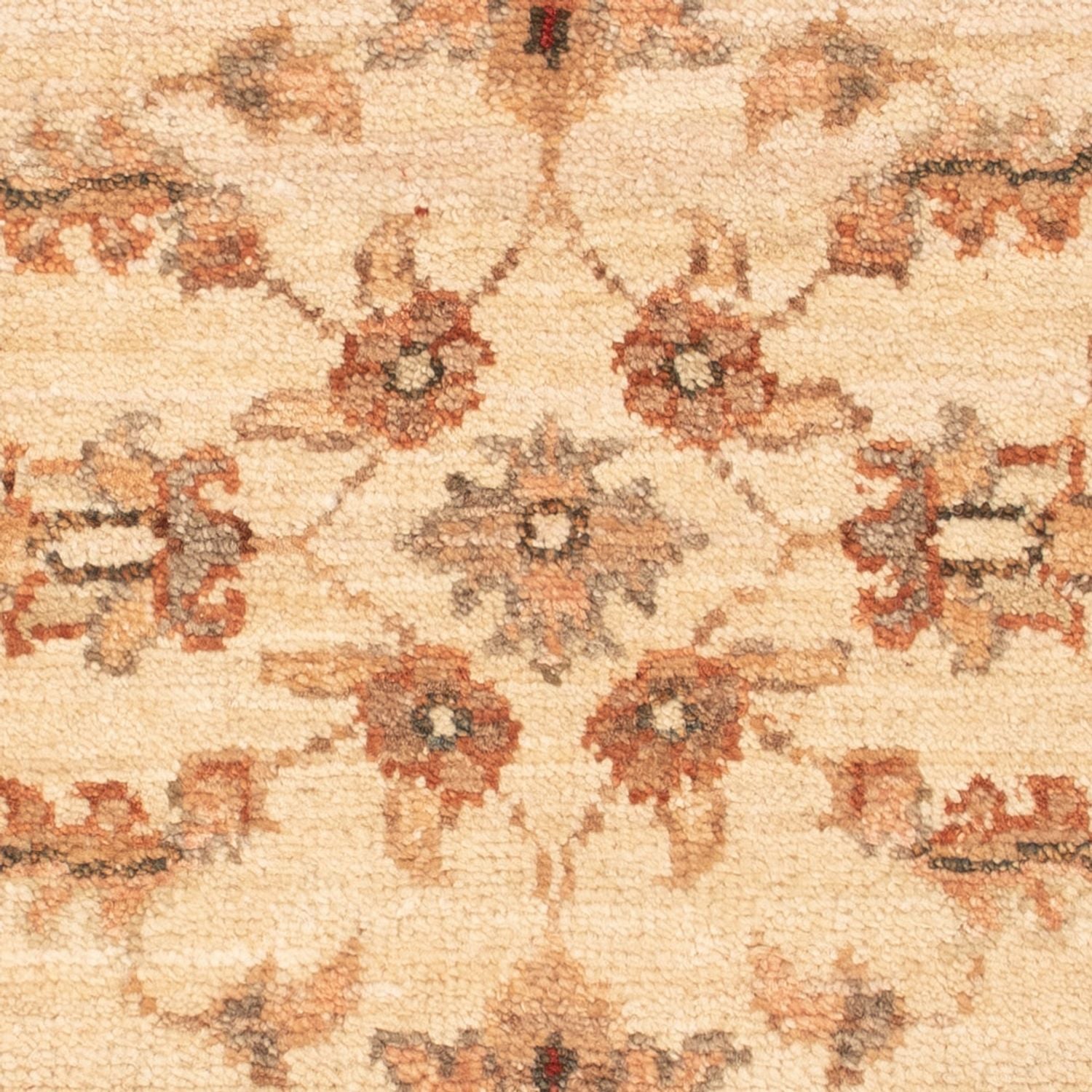 Tapis Ziegler - 68 x 48 cm - beige