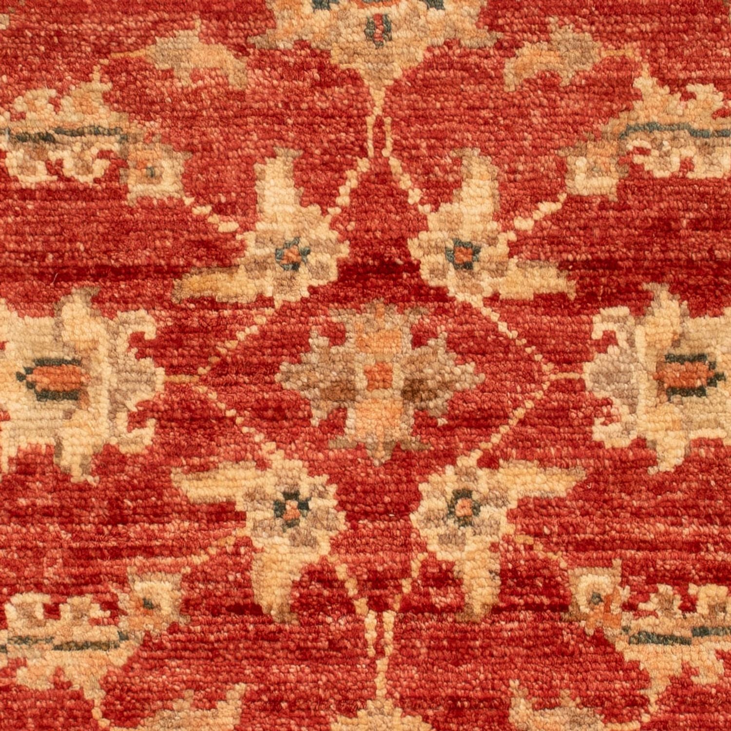 Tapis Ziegler - 67 x 53 cm - rouge