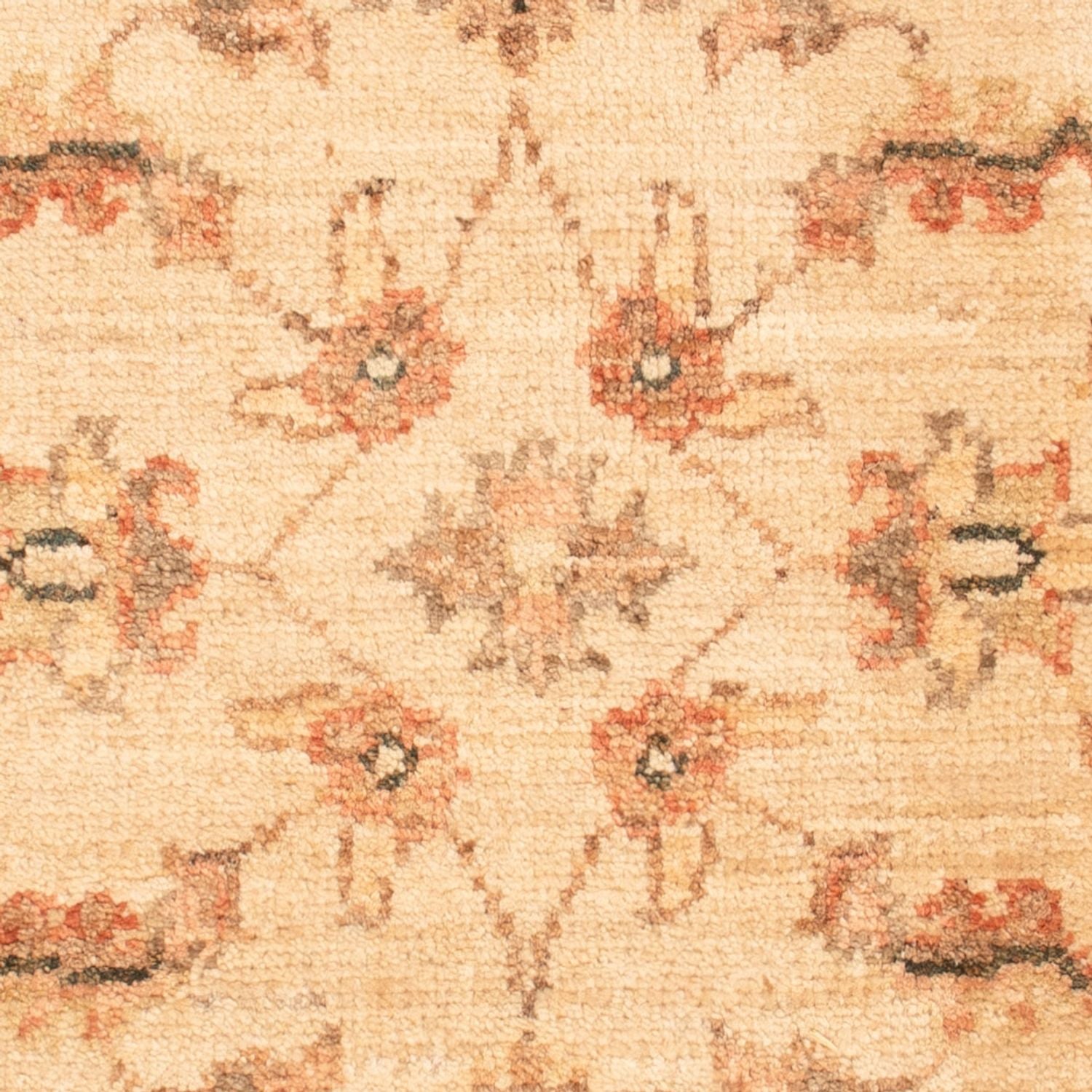 Tapis Ziegler - 70 x 50 cm - beige