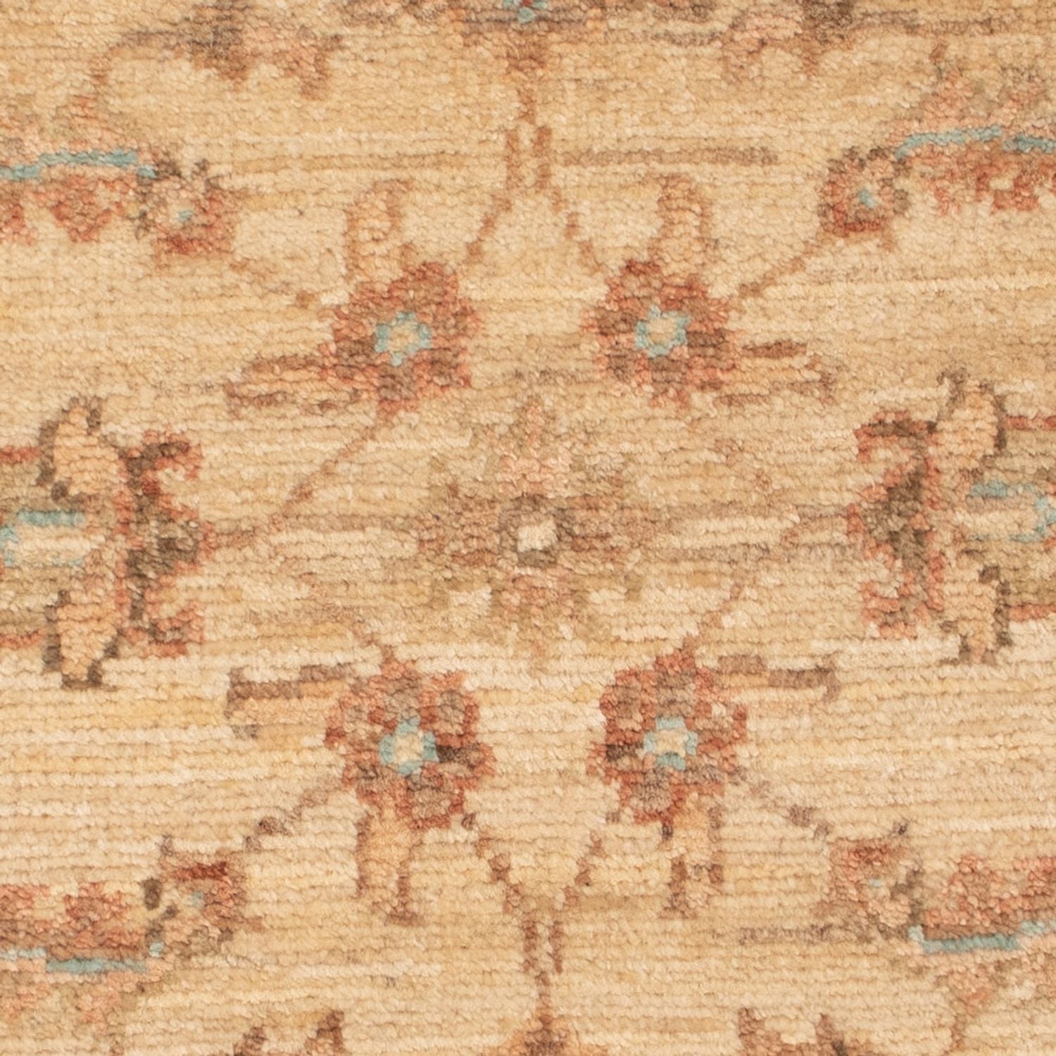 Tapis Ziegler - 68 x 53 cm - beige