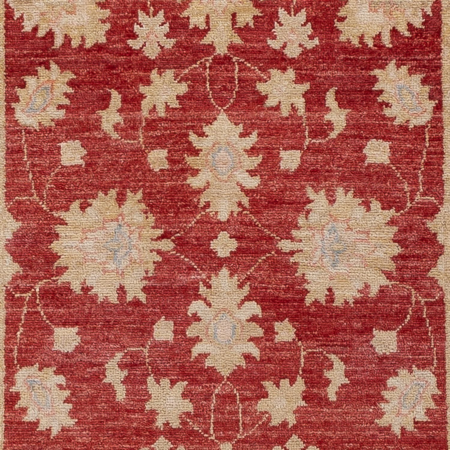 Tapis de couloir Tapis Ziegler - 256 x 81 cm - rouge