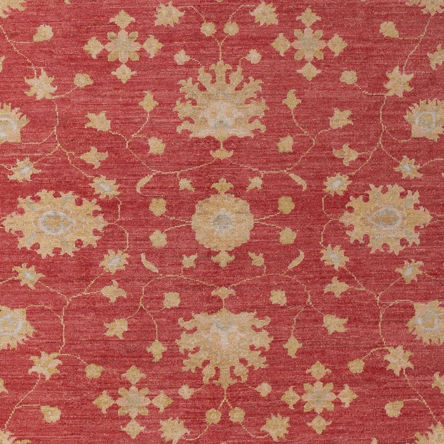 Tapis Ziegler - 296 x 203 cm - rouge foncé