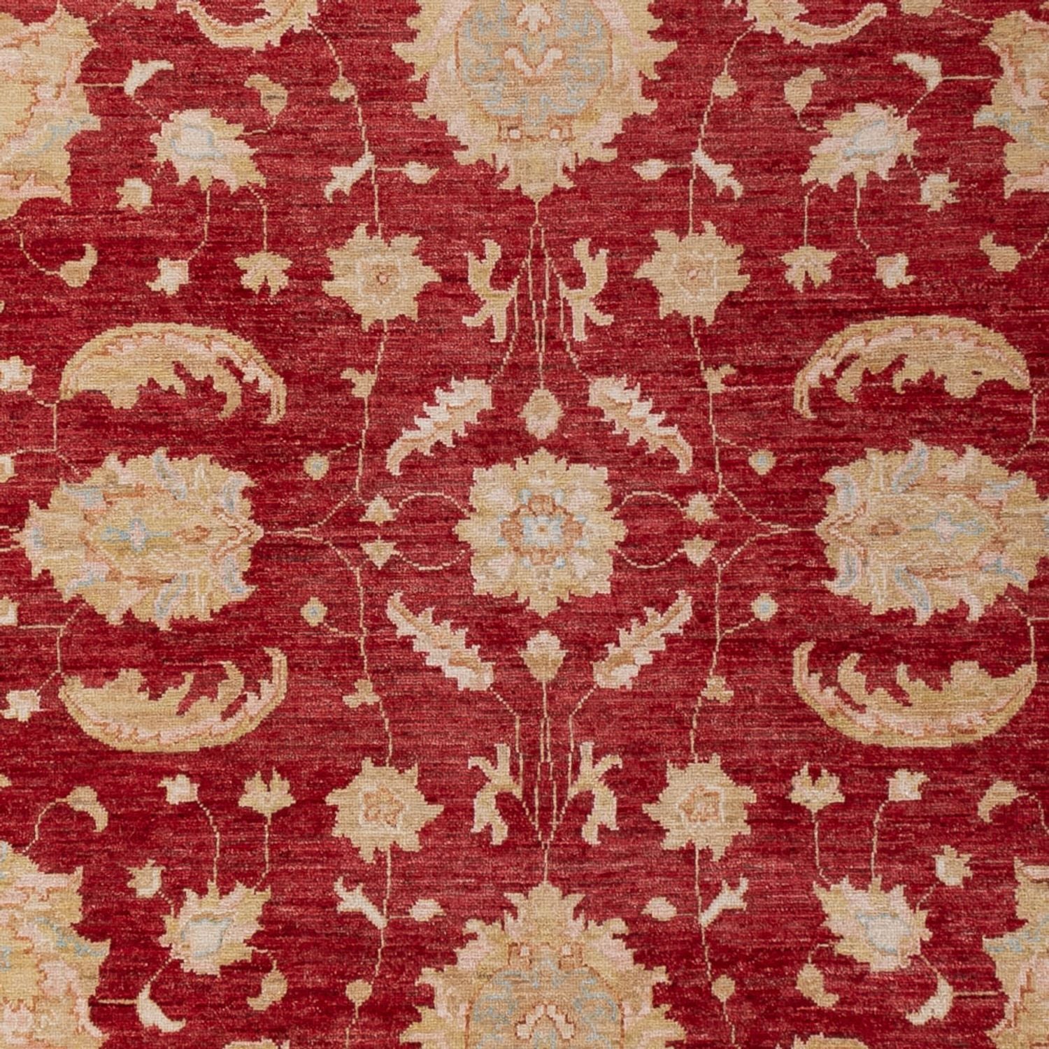 Tapis Ziegler - 303 x 204 cm - rouge foncé