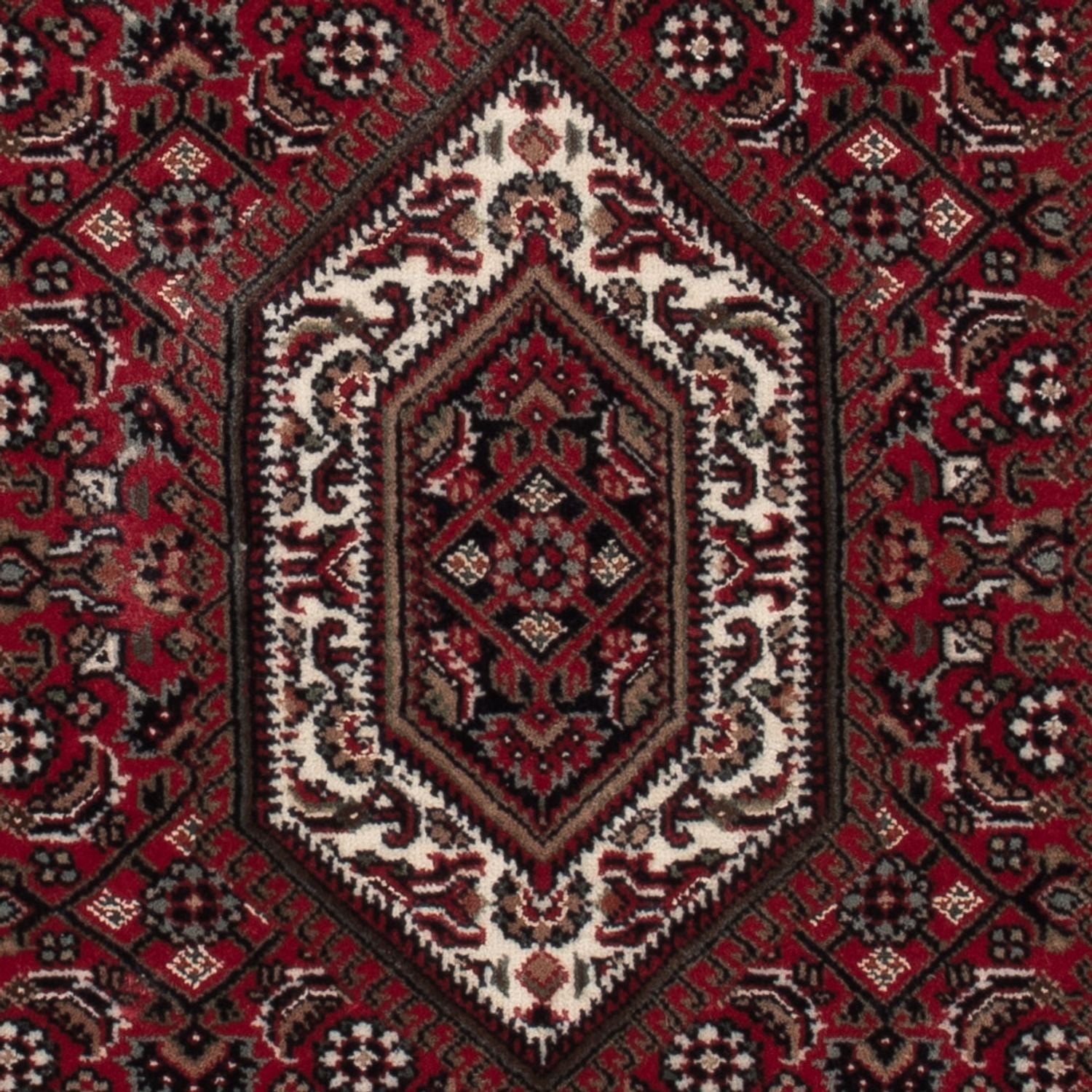 Tapis oriental - Bidjar - Indus - 141 x 73 cm - beige foncé