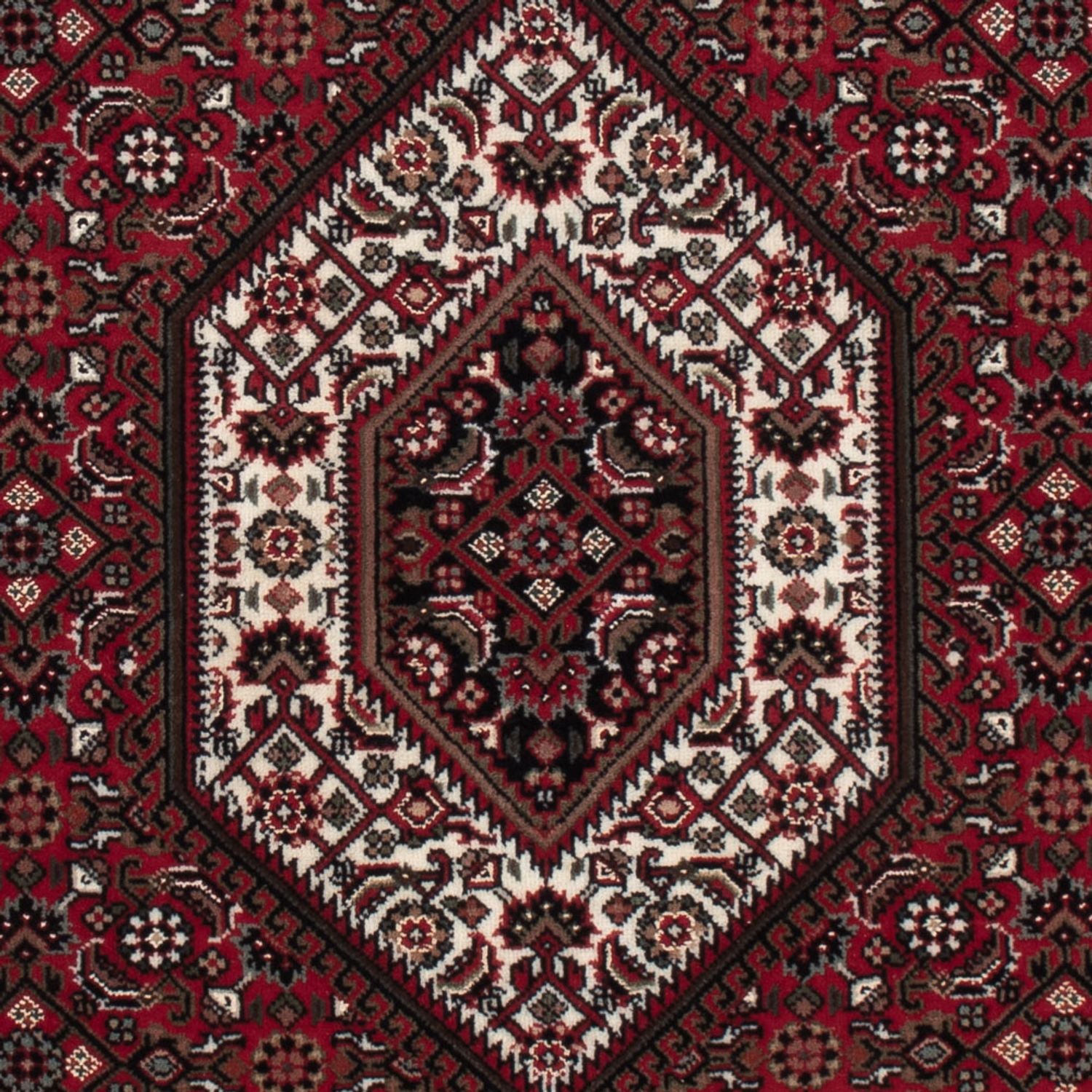 Tapis oriental - Bidjar - Indus - 159 x 91 cm - beige foncé