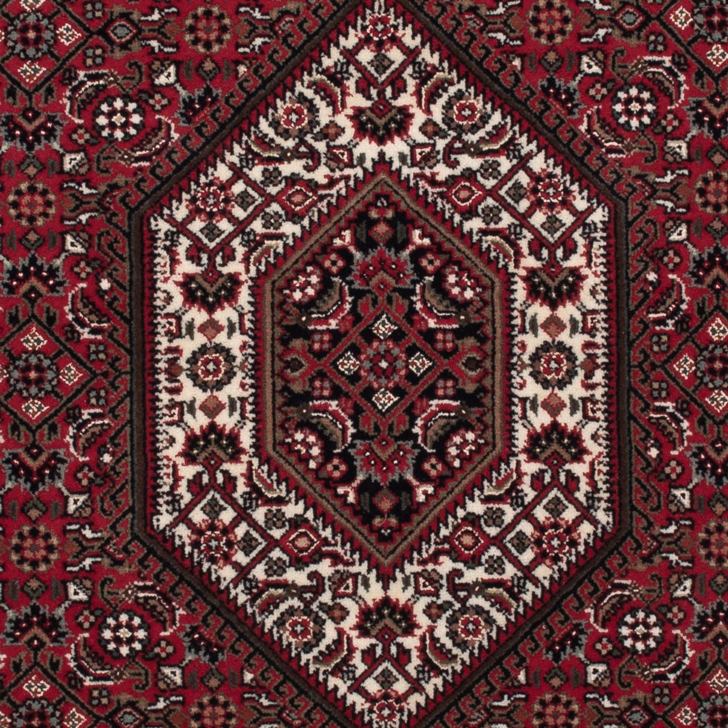 Tapis oriental - Bidjar - Indus - 160 x 90 cm - beige foncé