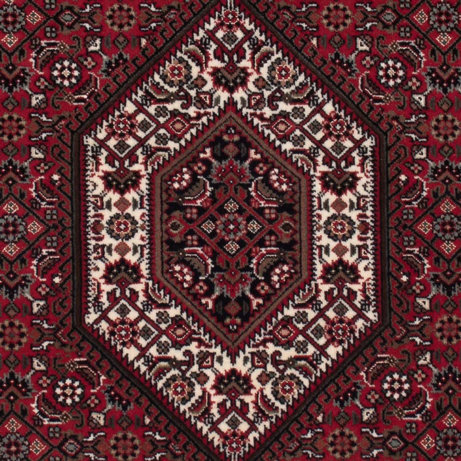 Tapis oriental - Bidjar - Indus - 160 x 92 cm - beige foncé