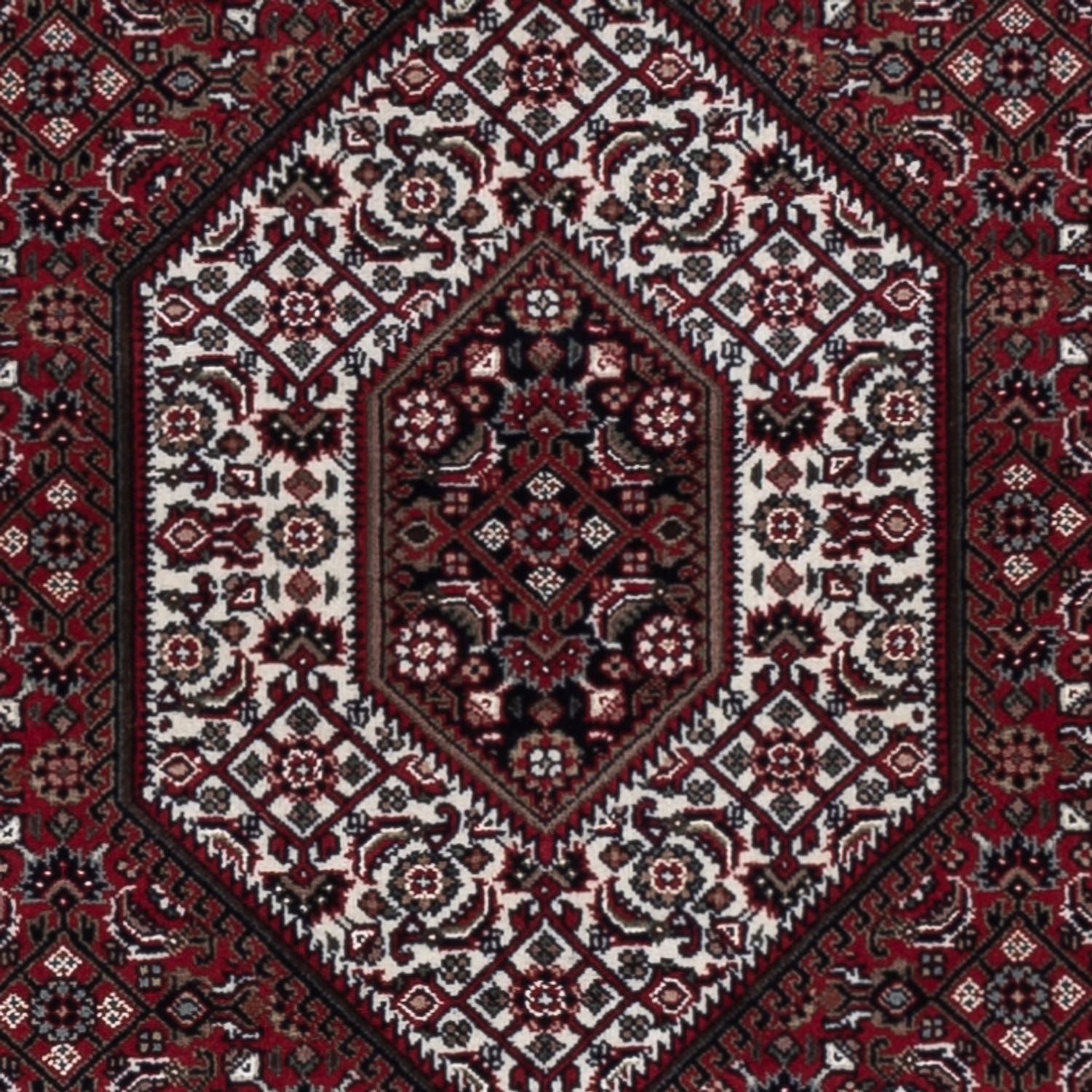 Tapis oriental - Bidjar - Indus - 183 x 127 cm - beige foncé